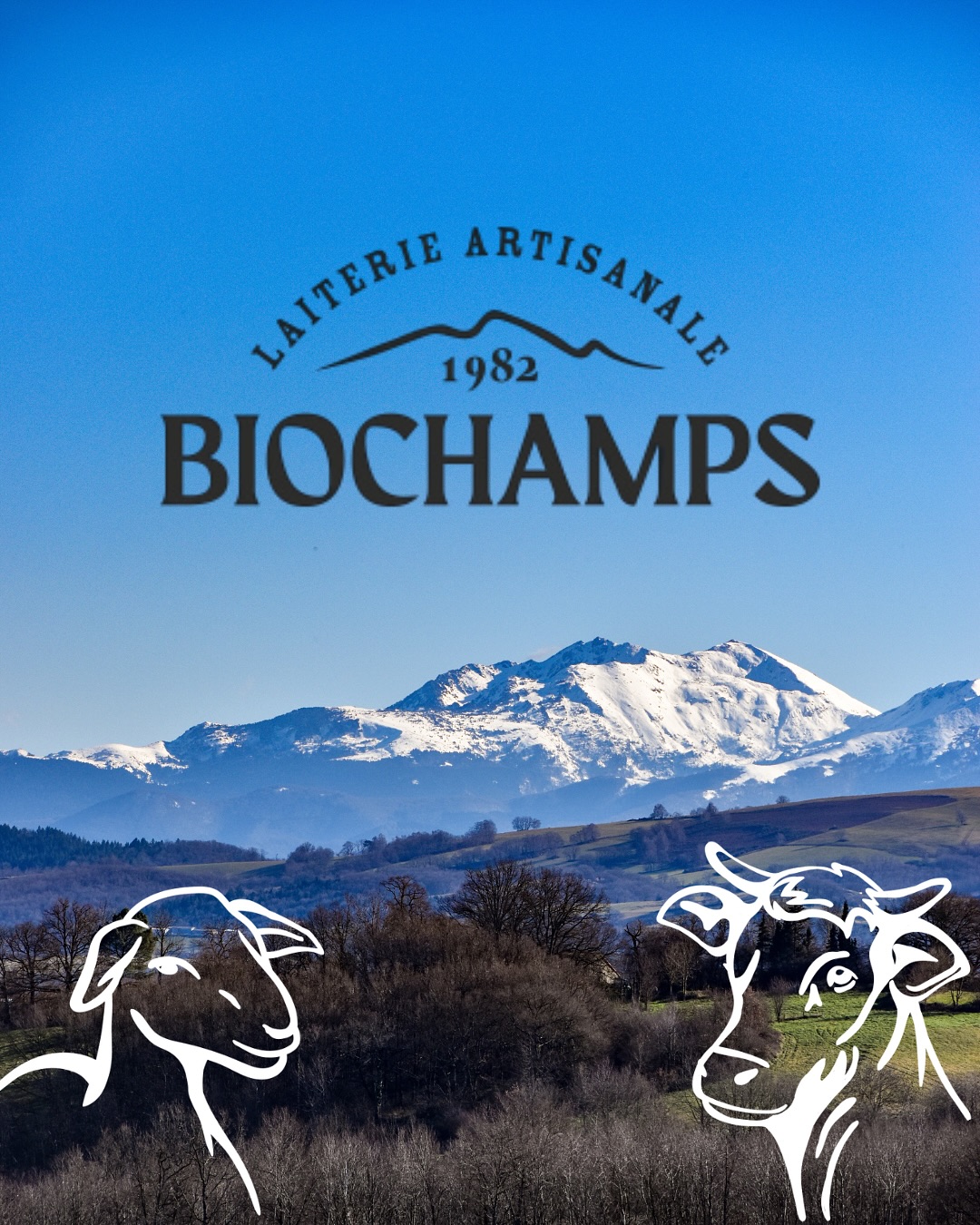 De l’Ariège à l’Aveyron, nos yaourts naissent au cœur des Pyrénées. Un terroir préservé, un lait local, une fabrication de artisanale. 💚