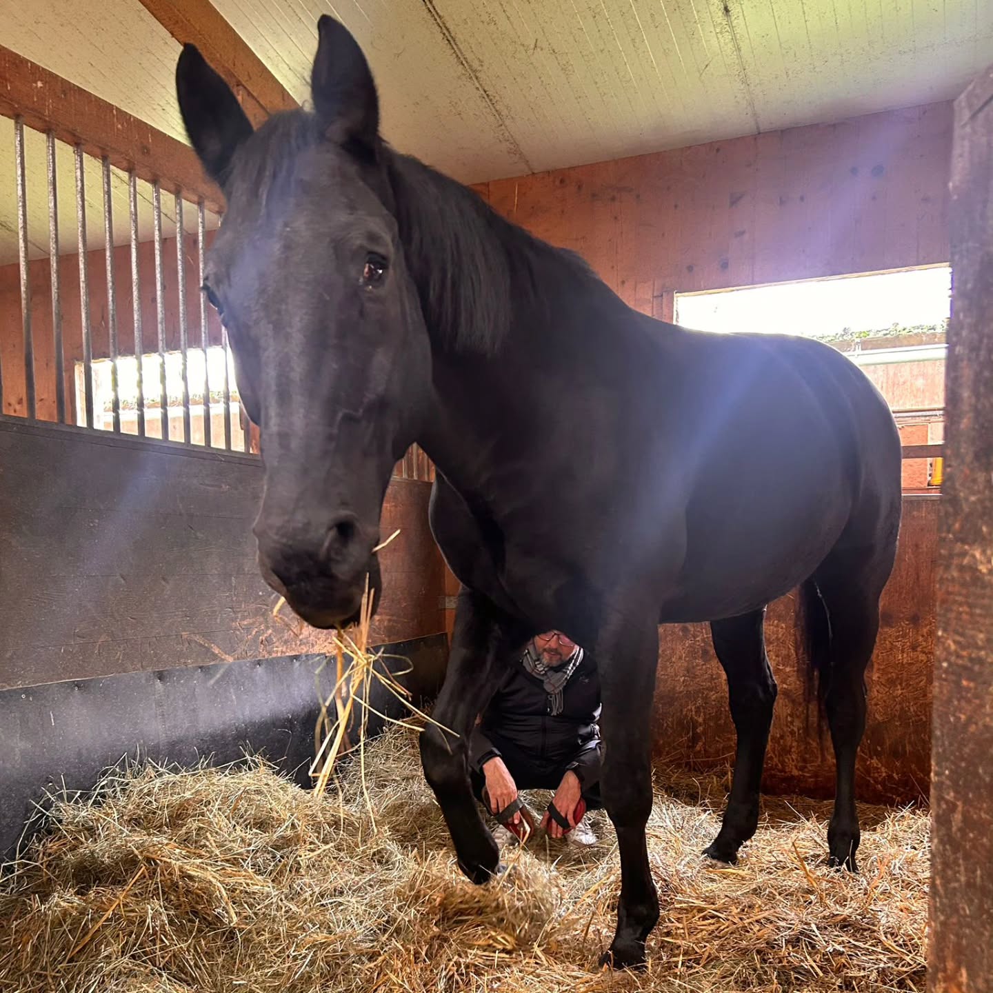 Und beim eigenen Pferd ist es doch immer am schönsten.