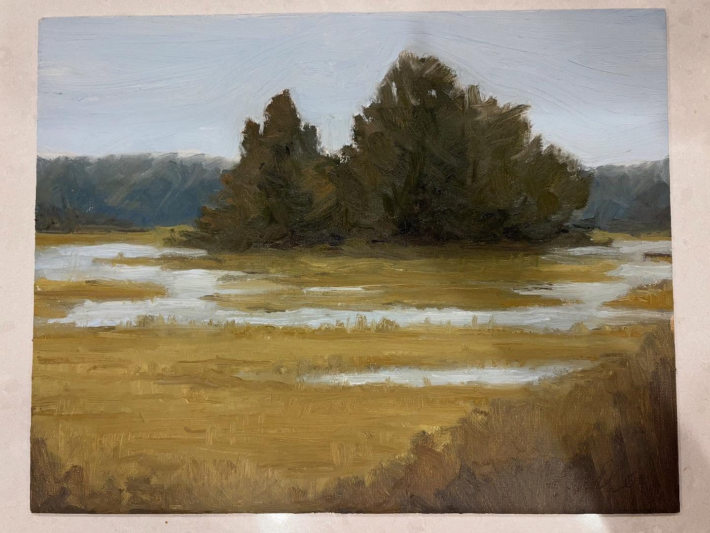 SOLD
11" x 14"
Oil on canvas panel