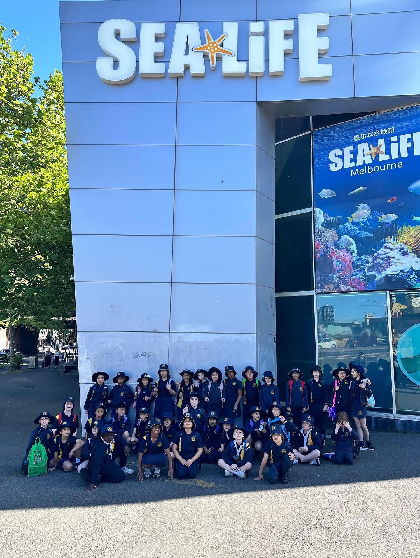 What an amazing time Year 3:4 had at the Aquarium last week!! 😁🐟🦈🪸 They went on a guided tour of the aquarium and learnt cool facts about the fish and animals. They were able to learn about food webs and life cycles of different species - they even had a turn in the 4D cinema! 😊 It should be a great launch experience into their Inquiry unit this term.
