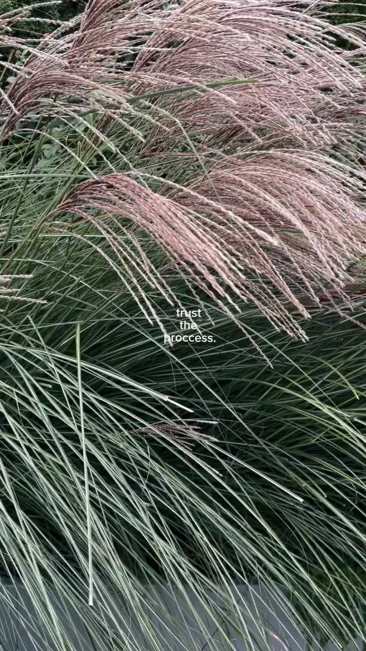 Day 2 of the Fall Reset Challenge is done ✔️
Join The Locker Room - my mailing list - to hear about the next one. We have fun in there together 🤓
DM me “TLR” if ya vibe