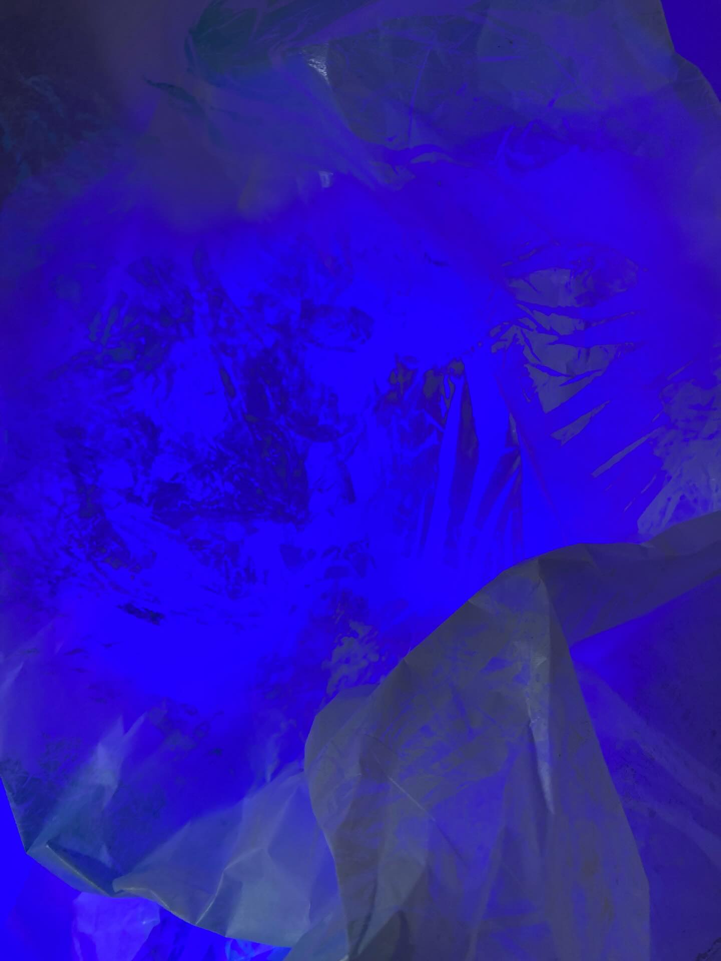 Lighting trials. Ice cave . A tad dark but on the right path I think. #contemporarylandscape#cumbriaprintmakers#chamonixmontblanc🇫🇷#glacier#merdeglace