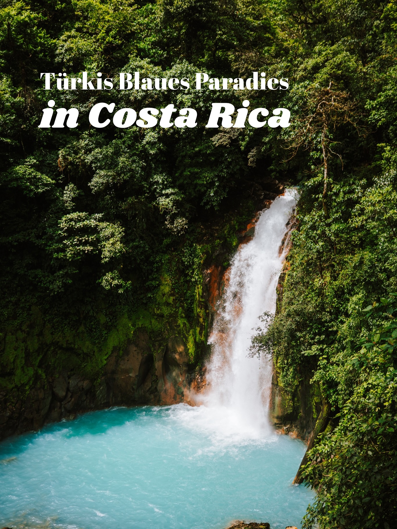 💙 Rio Celeste – ein türkisblaues Naturwunder mitten im Dschungel Costa Ricas
Das Wasser des Flusses und Wasserfalls leuchtet so unwirklich türkis – fast wie die Seen in Kanada, nur mitten im Regenwald. Ein echtes Naturwunder! ✨
Dieser magische Ort zieht natürlich viele Besucher:innen an. Wenn ihr aber früh morgens anreist, umgeht ihr nicht nur die Menschenmassen, sondern auch die Hitze. Denn eins haben wir in Costa Rica schnell gelernt: Ab 10 oder 11 Uhr wird es zu heiß zum Wandern – und auch die meisten Tiere ziehen sich dann zurück. Dadurch sinken die Chancen, Wildlife zu sehen. 🐒🦜
🎟️ Eintritt: 12 USD pro Person
Die Tickets müssen vorab online über das SINAC-Portal gekauft werden – vor Ort gibt es keine Tickets mehr!
🥾 Trail: ca. 7,5 km lang und gut zu wandern.
Es lohnt sich, bis zum Ende zu gehen – unterwegs bekommt man immer wieder neue Blickwinkel auf den leuchtend blauen Fluss und hat gute Chancen, wilde Tiere zu entdecken. 🌿
Er ist wirklich eine Reise Wert. Aber plant euren Besuch gut und checkt vorher den Wetterbericht. Nur eine Woche später gab es heftige Regenfälle und der Fluss und Wasserfall war eine Braune Suppe. 🫣😅
Habt ihr schon mal so einen blauen Fluss gesehen? Wenn ja, wo? 💧👇
#costaricatravel #lateinamerika #mittelamerika #dschungel