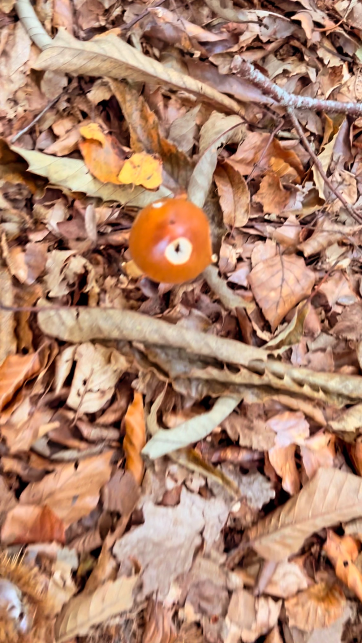 Choosing the right support for you during pregnancy is a little bit of chemistry. Let’s chat and find out if we click…
💌 charlie@thegoodbirthpractice.co.uk
✏️ DM me here
🌍 Head on over to LinkinBio and book a call through the website
#doula
#virtualdoula
#antenatal
#antenatalclasses
#birthplan
#birthplanning
#hypnobirthing
#havingababy
#howbirthhappens
#pregnant
#birthpartners
#inthebirthroom
#fourthtrimester
#maternitymentor