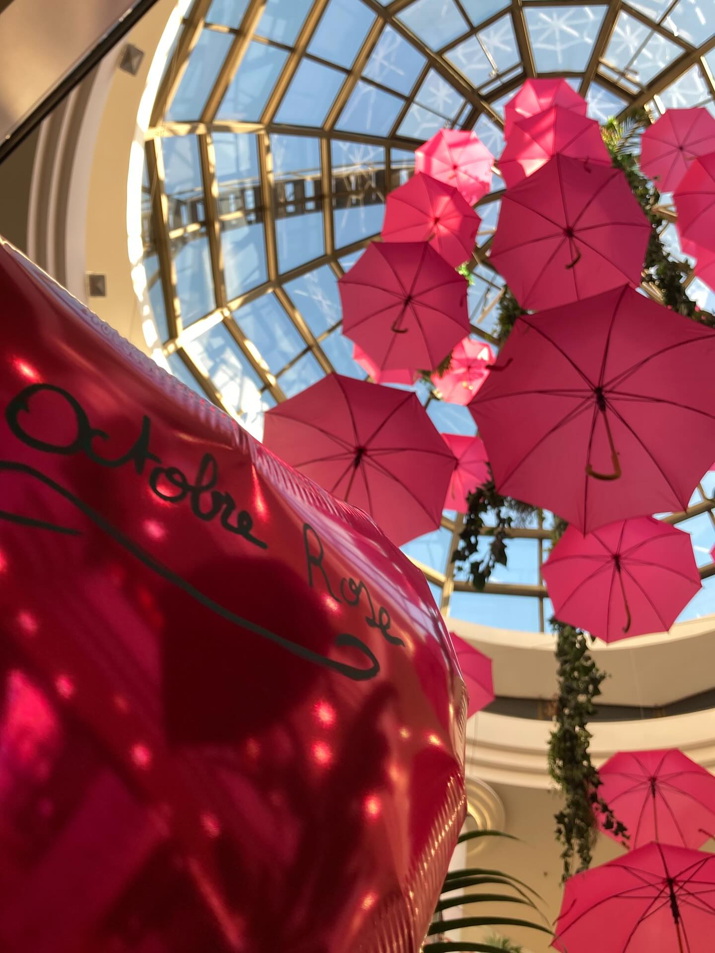 Octobre Rose à la Coupole c’est les 11, 15 et 18 octobre !