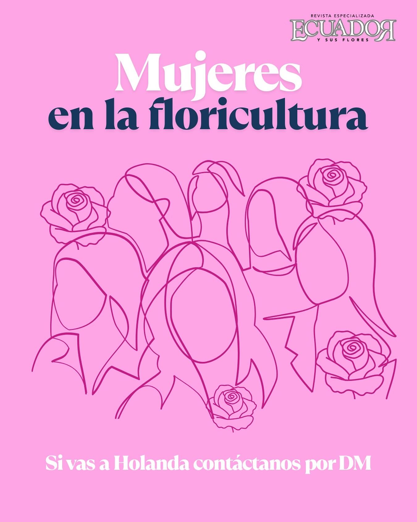 Queremos reunir a las mujeres dentro de la floricultura ecuatoriana y colombiana para compartir proyectos, experiencias y oportunidades para nosotros en el sector. Escríbenos para ser parte de un meeting en Holanda!