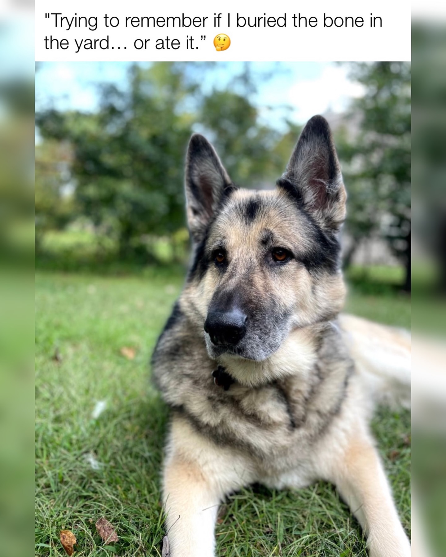 😆😆 Join us at DOGAROOO — the Ultimate Dog Convention! 🐾🐕🐩
Mark your calendars 🗓️ March 6–7, 2027 at the @pasadena_conventioncenter in Pasadena, CA! This is the can’t-miss event for dog lovers everywhere. 🐶✨
Here’s what you & your pup can look forward to:
✨ Vendors & Sponsors with treats, toys, food & must-have products
🎓 Meet & learn from some of the world’s top dog trainers
🏡 On-site adoption area in partnership with local shelters ❤️
👑 Dog costume contest + “Best in Show” competition
🌳 Dog park, pet games, dog art, fashion and fun for the whole family
Our mission at Dogarooo Convention is simple: create the ultimate experience for dog owners while helping pups across California find their forever homes. 🐾
🐕💼 Interested in sponsoring or booking a booth? Email us through the link in our bio today!
📍 Pasadena Convention Center
📅 March 6–7, 2027
#Dogarooo #DogConvention #pasadenadogs #DogParents #DogsOfInstagram #amazonpets #amazondogs #convention #conventions #rescuedogsofinstagram #dogevent #dogreels #doginfluencer #doginfluencers #doginfluencersofinstagram #dogtoysofinstagram #petexpo #funnydogvideos #dogtraining #dogtrainers #dogtreat #funnydogs #funnydog #losangelesdogs #germanshepard #doginfluencersofinstagram #funnydogreels #germanshepherdsofig #dogmeme #germanshepherds #dogfestival