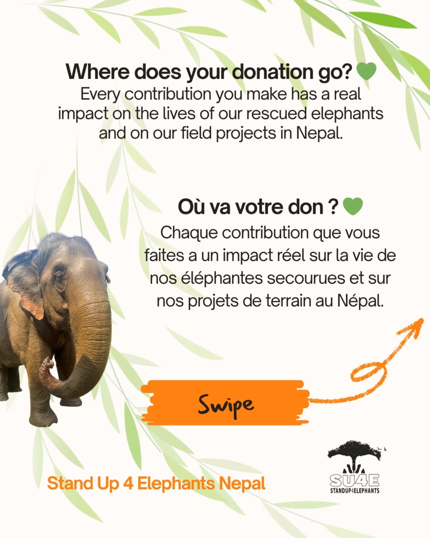 Link in the bio @sanctuaryelephantsnepal to be a monthly donor 🙏🐘🤍
Lien dans la bio @sanctuaryelephantsnepal pour faire un don mensuel 🙏🐘🤍