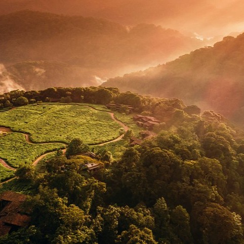 One&Only Nyungwe House, Rwanda: The Whisper of Ancient Forests.
At One&Only Nyungwe House, stillness is cultivated through the ritual of connection. Surrounded by ancient forests, there is no better way to start the day than with an early morning tea ceremony on the lodge terrace. Watching the sun crest the mountains as the forest slowly comes to life.
Here, we are reminded of the delicate web that binds all life and the soft silence of its natural rhythms.
Photo Credit: One&Only Nyungwe House.