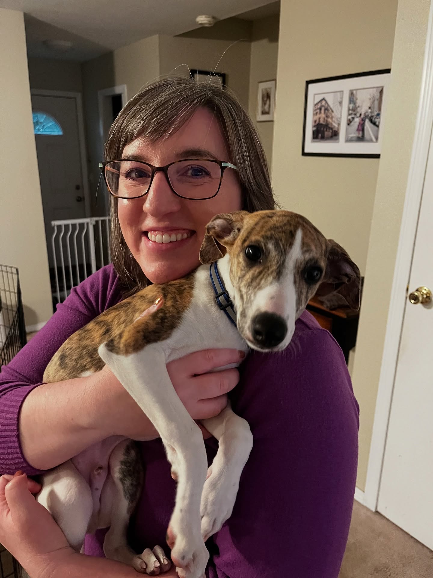 Was today’s duo rehearsal 40% puppy petting? Maybe. Did we make fun plans for our next concert? Yes! @jollyjonesduo @flutiesteph #jollyjonesduo #fluteduet #fluteduo #flutemusic #jollyflute