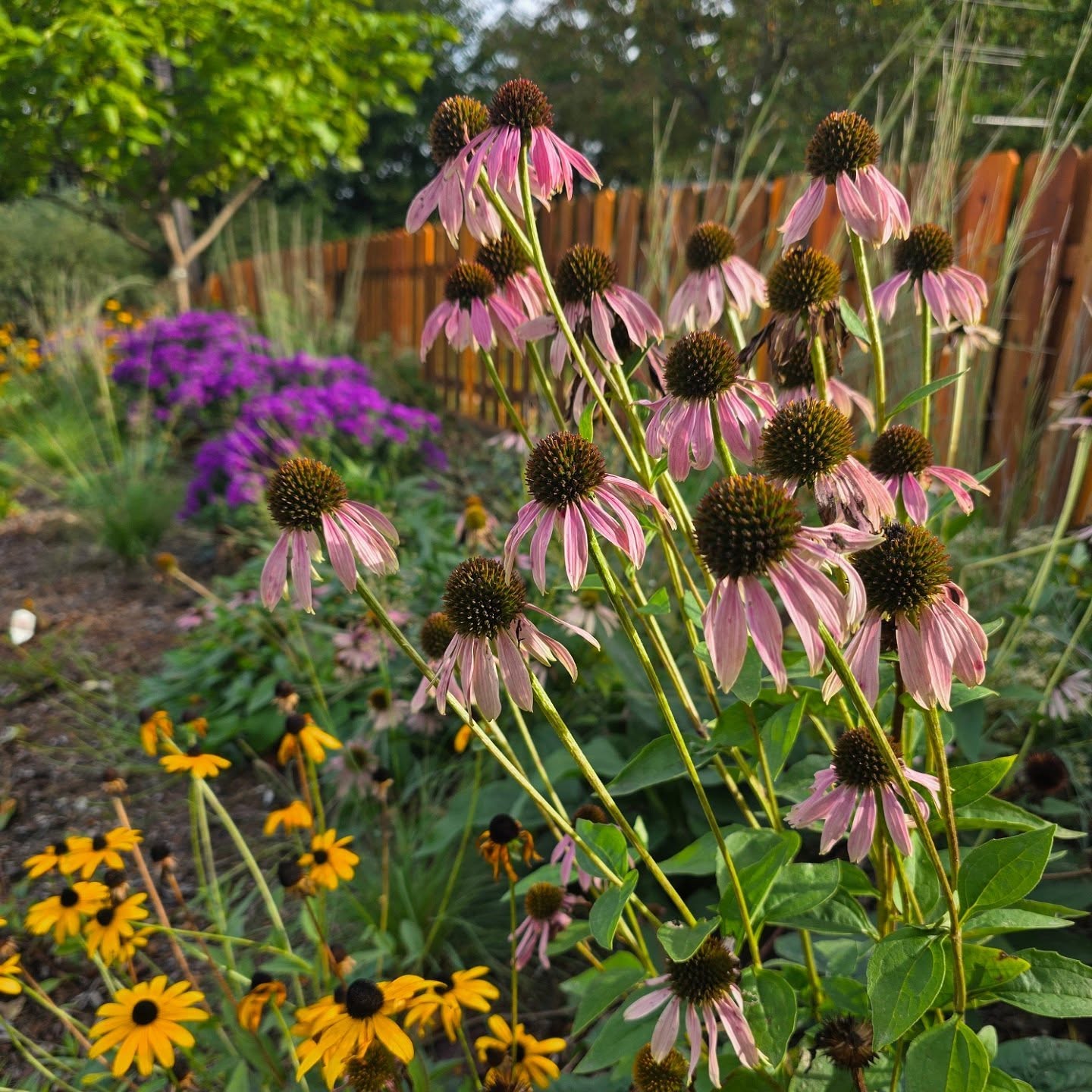 Fall in the Meditation Garden