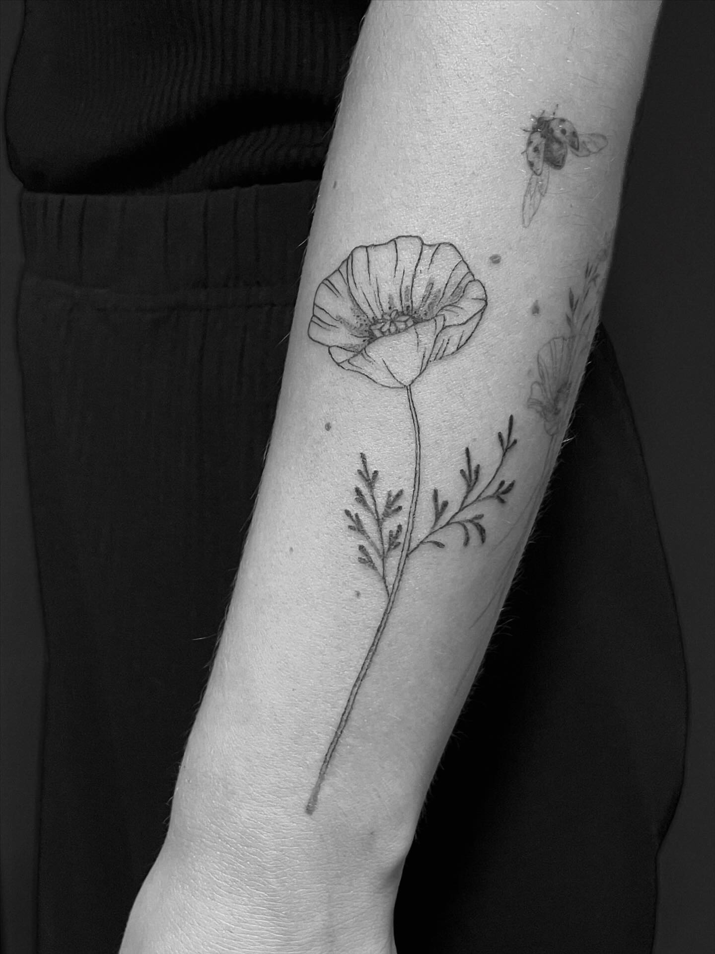 blumenwiesenstart
merci sarah
#handpoke
#flowertattoo
#botanicaltattoo
#finelinetattoo
#poppytattoo
#delicatetattoo
#minimalisttattoo
#blackworktattoo
#tattoodesign
#femmetattoo
#tattooforearm
#handpokedtattoo
#rosepokes
#studioknuts
#weimartattoo
#erfurttattoo
#jenatattoo