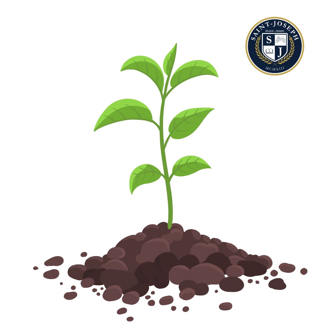 Minute réflexion...
Dans le tourbillon des journées d’école, on célèbre souvent les grandes victoires : un examen réussi, une médaille gagnée, une performance remarquée. Mais la vraie magie se cache souvent dans les petites réussites... celles qu’on ne voit pas toujours, mais qui construisent les enfants, pas à pas 💛.
C’est ce regard qui s’éclaire quand on comprend enfin un mot difficile.
C’est cette main levée pour la première fois, timidement mais fièrement.
C’est cet élève qui ose dire “je ne sais pas”… et qui apprend à demander de l’aide.
C’est cette amitié qui naît dans la cour, ou ce pardon murmuré après une dispute.
Ces moments n’ont rien de spectaculaire, et pourtant, ils façonnent des êtres confiants, curieux et courageux 🌿. Car apprendre, ce n’est pas seulement accumuler des savoirs, c’est aussi oser, échouer, recommencer, persévérer.
À Saint-Joseph, nous croyons profondément que chaque progrès, aussi petit soit-il, mérite d’être vu, reconnu et encouragé. Parce que dans ces petits pas quotidiens se cache le plus grand des apprentissages : celui de croire en soi ✨ !
Belle journée à toutes et à tous !
#minutereflexion #petitesvictoires #apprendreagrandir #ecoleprimaire #ecolematernelle #viescolaire #ecolesaintjosephohain #ecolesaintjoseph #ecolestjosephohain #ecolestjoseph #ecoleohain #ecolelasne #ecolesdubrabantwallon #vivrealasne #communedelasne #ohain #lasne