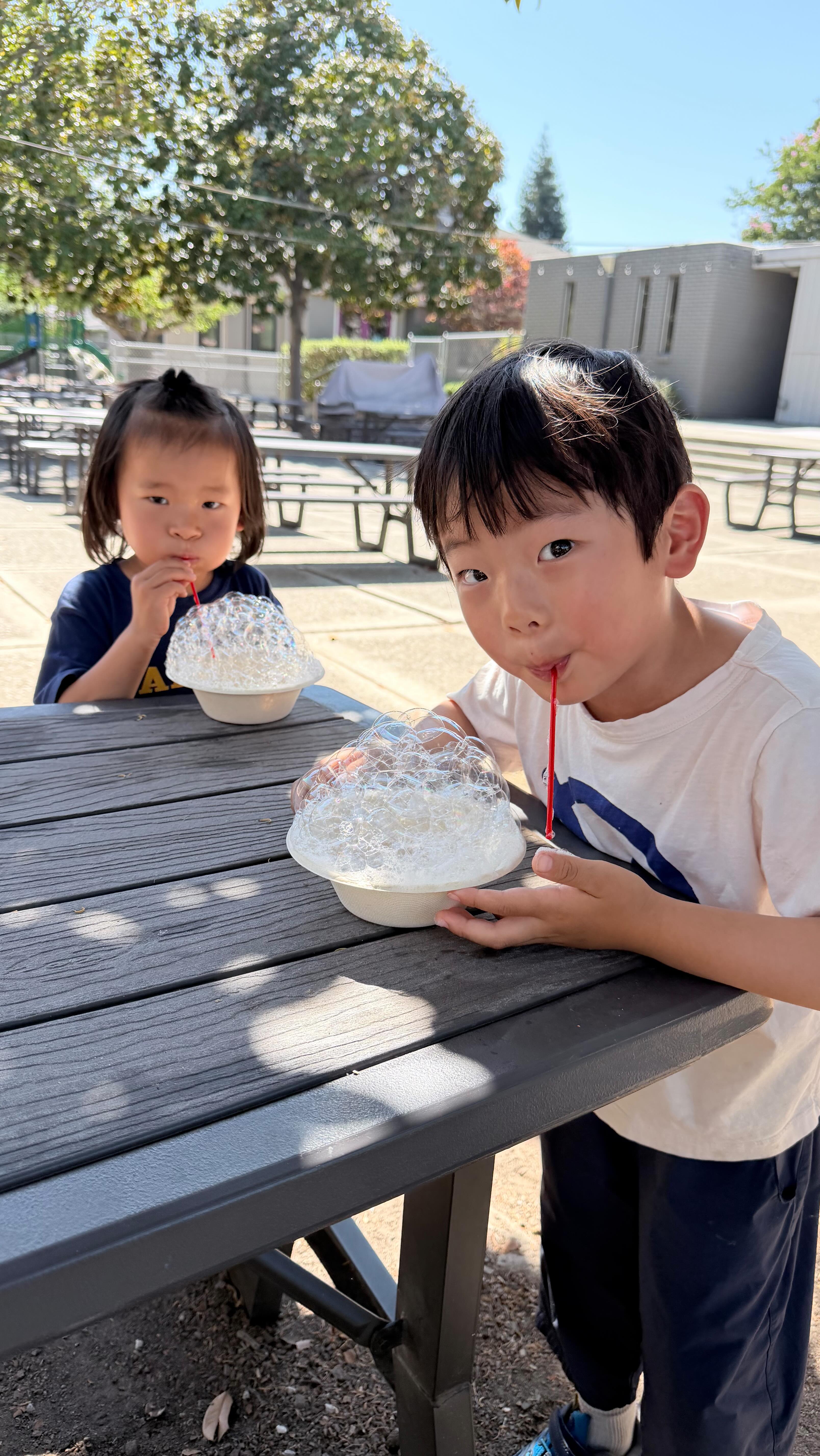 This is your sign to come visit us! ✨
For the longest time, our school sign was hard to find — so we made our own as part of our school makeover project! We will be sharing more behind-the-scenes moments with you. ✨
#openhousesaturday #schooltransformation #schoollife #elementaryschool #schoolmemes #transformationjourney #bayarea #transformation #documentation