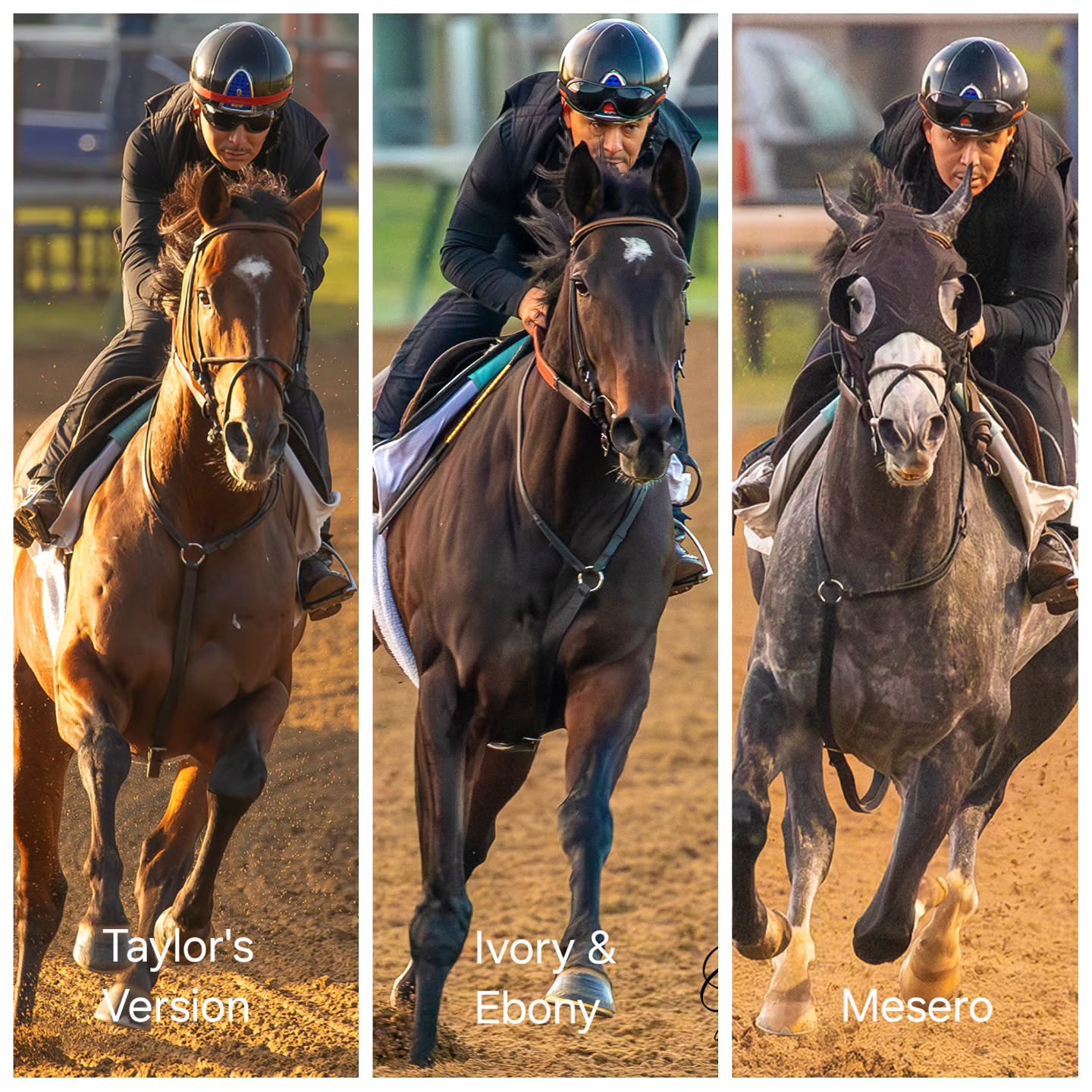 Saturday mornings are always busy for the team. There is a long list of workers (breezing) which is demanding work for the riders. Here's Faustino aboard a few of our stars. 🙂💪💪