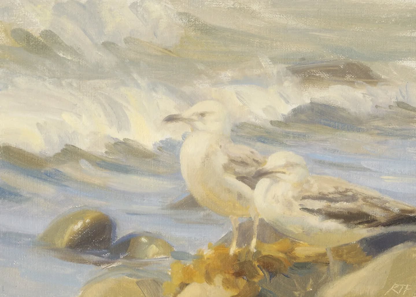 1 of 5 new plein air oil paintings have fledged to Birdscapes gallery for their upcoming 20th Anniversary exhibition!
Opening this weekend, Saturday at noon, by special guest, Nick Acheson, visit www.birdscapes.co.uk to find out more!
@birdscapes_gallery
@societyofwildlifeartists