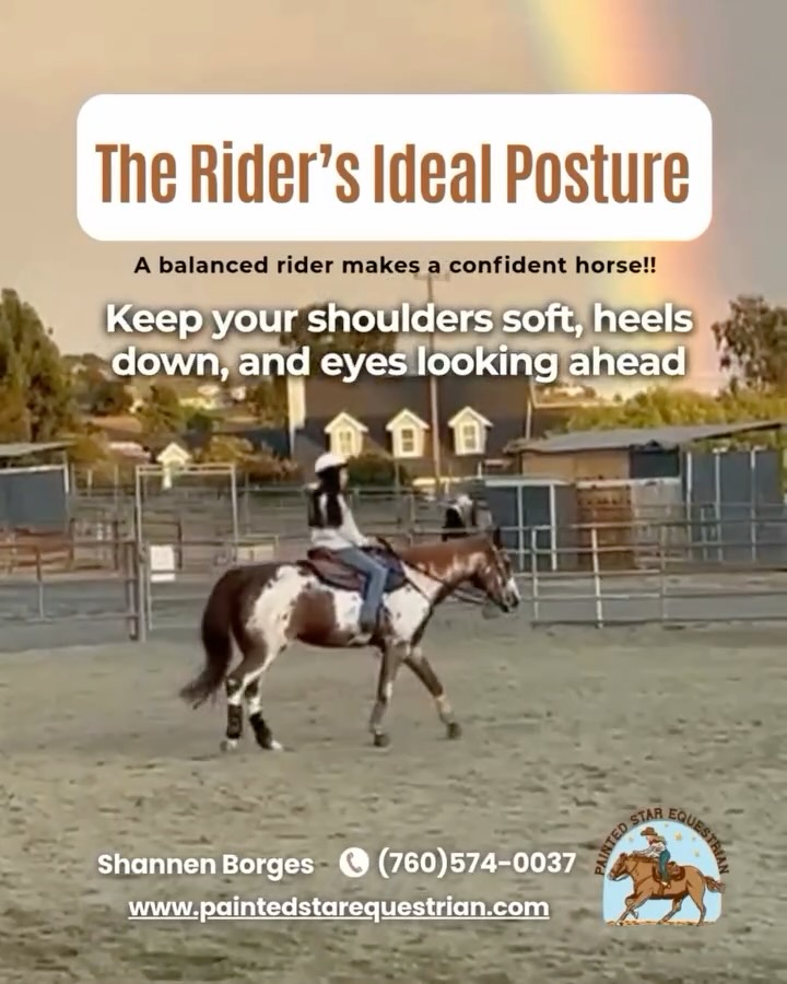 🏇 A balanced rider makes a confident horse.
It’s not just about posture — it’s about harmony.
Keep your shoulders relaxed, heels down, and eyes looking ahead.
Your horse will follow your calm, steady energy. 🌿
#RidingTips #WesternRiding #EquestrianLife #PaintedStarEquestrian #CaliforniaRiders #RideWithBalance