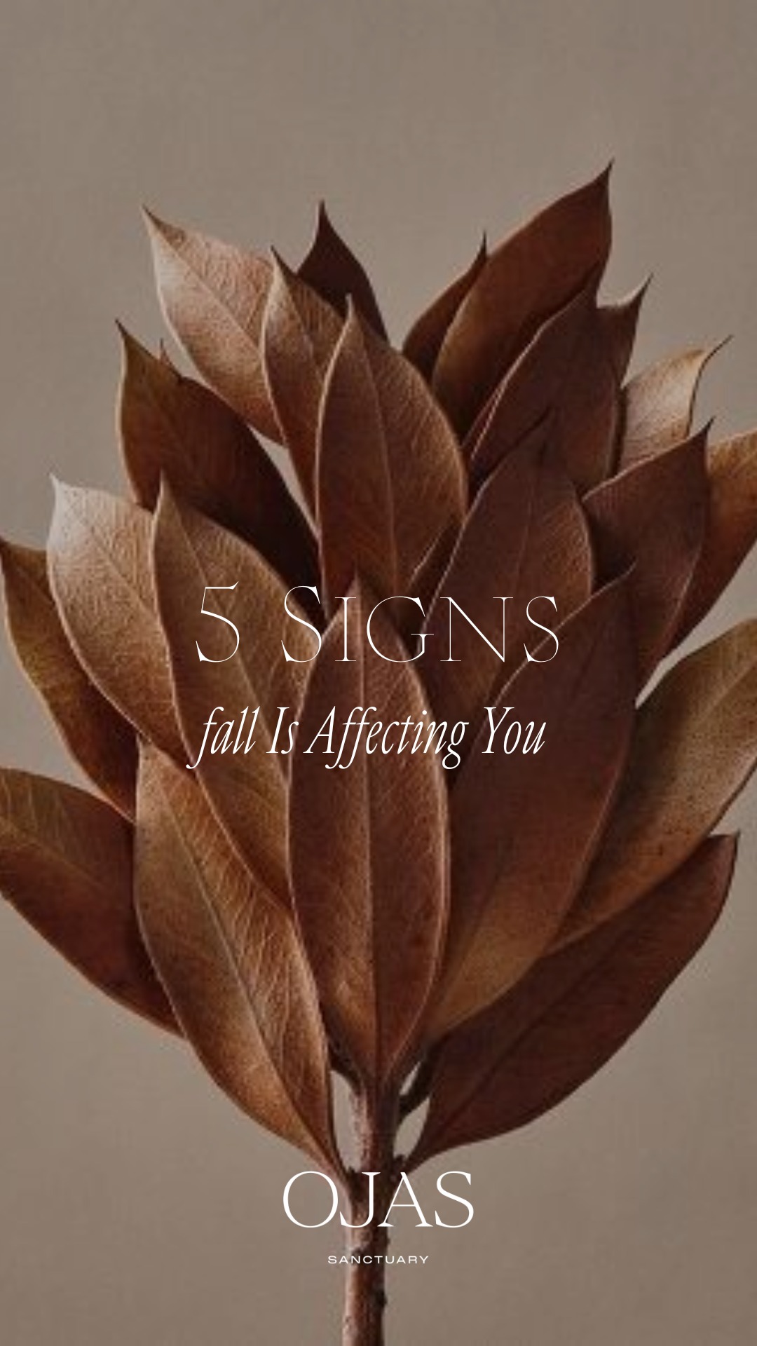 Feeling off this fall? 🌬🍂
If you're over 40, Vata season can amplify perimenopausal symptoms. From sleep disturbances to hormonal swings.
But you're not alone, and there is a way to feel grounded again.
Ayurveda offers powerful, nourishing rituals to bring back your balance.
💛 DM me if you're ready to create a routine that supports your rhythms.
#OjasSanctuary #AyurvedaForWomen #VataSeason #FallBalance #HormoneHealth #PerimenopauseSupport #AyurvedaWisdom #AyurvedaOver40