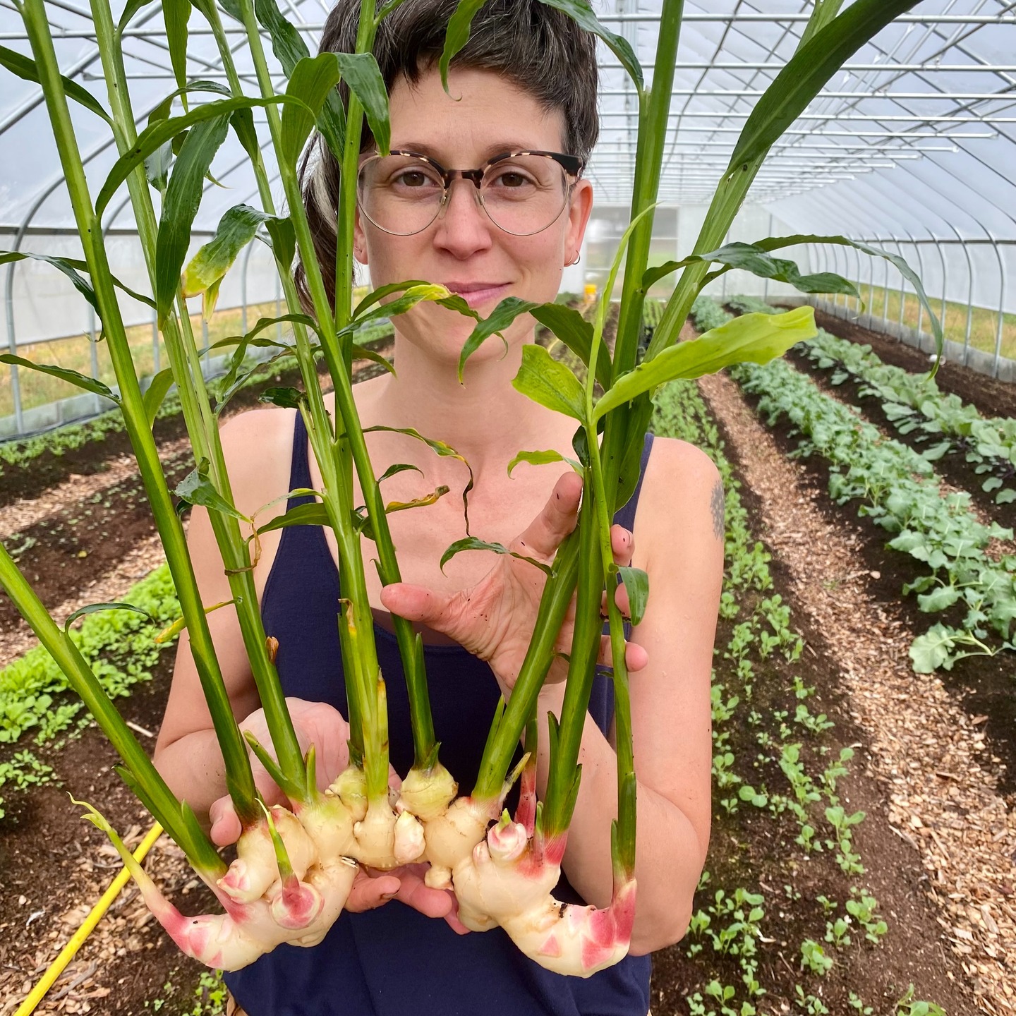 Alright, y'all, last call for fresh ginger and turmeric orders before we candy or freeze it all for you to enjoy over the winter!
These crispy, juicy rhizomes are delicious in smoothies, sauces, sautes, teas, and so much more!
Put your order in on our site (www.farthestfieldfarm.com). Pick up at the farm in the next week or so, or at @theportlandyogaproject's Forest Avenue location on the evening of Thursday, October 23rd -- order by noon on the 22nd and put "PYP" in the order notes.
#ginger #turmeric #rhizomes #mainefarms