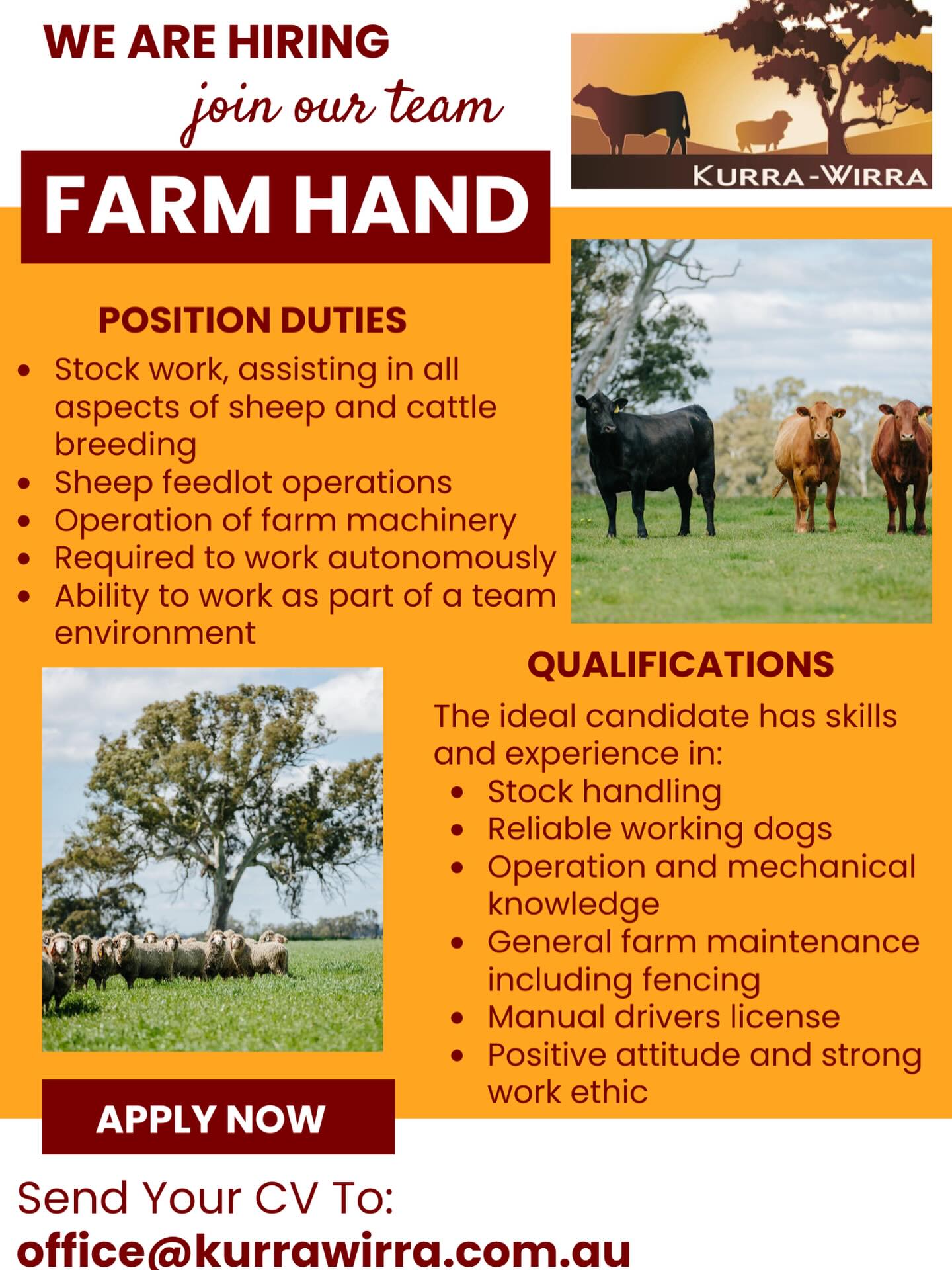 🐑🐑WE ARE HIRING🐮🐮
Farm Hand - South West - Victoria.
Kurra-Wirra, a progressive mixed farming business based in Culla, Victoria, approximately 100km from Hamilton, Horsham and Naracoorte invites applications for an enthusiastic Farm Hand to join the established team on a full-time basis.
You will have the opportunity to primarily focus on the livestock activities including all husbandry, daily management and stud/commercial work in both our sheep and cattle enterprises. In addition, you will enjoy the variety of work that comes from general farm maintenance of both plant and property, as required. Considered an integral member of the team, you will have the opportunity use your initiative and have input towards continual improvement and efficiencies of the business. The successful candidate will have a positive outlook and critical thinking skills to assist the team to achieve the business goals. You also have the opportunity to be part of a vibrant community with local football & cricket clubs, community groups and schools.