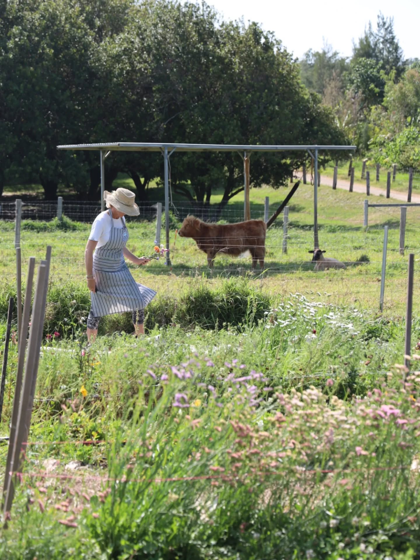 On the weekend we had our last painting workshop for the year! It was the usual reminder that picking and arranging flowers and then spending the day painting (with a break for really delicious food in the middle) is really good for the soul ❤️
@bloom_art_experiences
Location: @thefarmatbyronbay
Flower picking with: @poppyandfernflowers
Food by: @threeblueducks
Our next workshop is a three day retreat in Tassie - February 2026
#artworkshop #paintingtutorial #learntopaint #beginnerartist #hobbyartist #artclass #bloomartexperiences #stilllife #flowerpainting #learntopaintflowers #brisbaneartclass