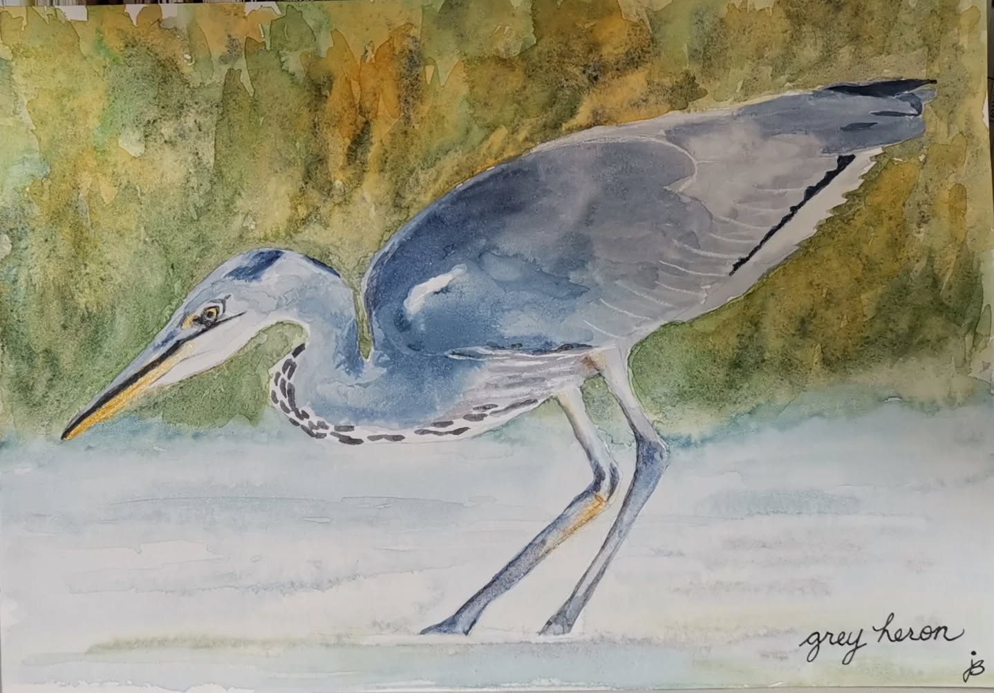 Grey heron
Day 13 #Birdtober2025 #birdtober
This year I'm using watercolor, neocolors II, pencil crayons, charcoal, and gelly roll pens. Whatever floats my 🐦
I'm working on Clairefontaine watercolor paper 5.8x8.3" (A5) cold press paper.
@aholmesartstudio #ilovebirds #bird #birdartist #birdart #birddrawing #birdpainting #birdillustration #birdnerd #birbs #painting #drawing #illustration #birdchallenge #watercolorart #watercolorpainting #pencilsketch #fabercastell #clairefontainepaper