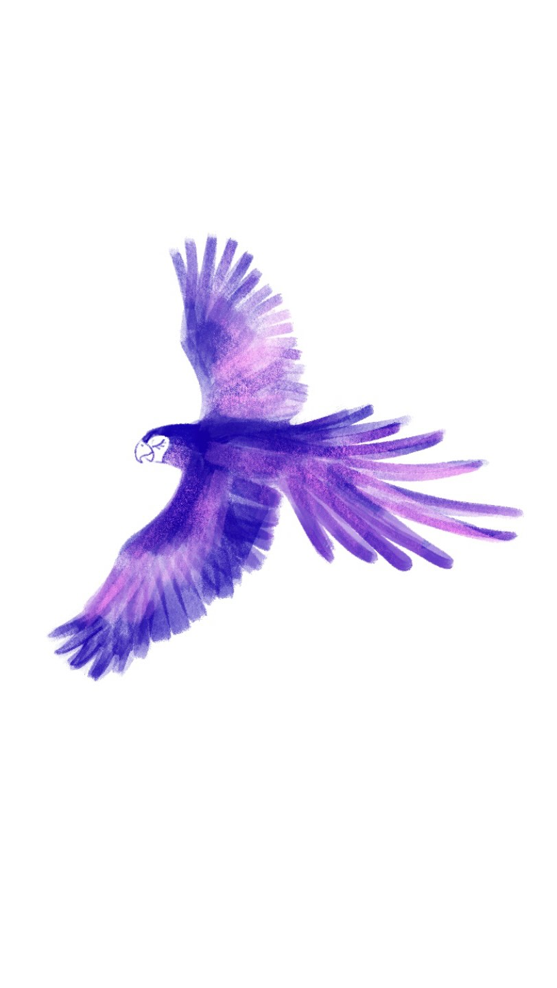 Animación frame a frame hecha a 15 manos!
🦜🦆🦃🐥🦤🦅🦩🪿🦉🦢🕊️🐓
En orden, los ilustradores:
@m.arbella
@rosacasteloi
@dedopeche
@byjorgio
@alportabella
@juebelopes
@luci_ana.creativa
@claradevalles
@albadecolors
@ninon_reo
@drawingsbygonzox
@deverdaf
@chanckleton
@silviavallhonrat
@dani.amelotti
Música Pajaro Loco de @nadiiirrr____ y @dani.amelotti
Dirección @lauraginespuntcom
🦜🦆🦃🐥🦤🦅🦩🪿🦉🦢🕊️🐓