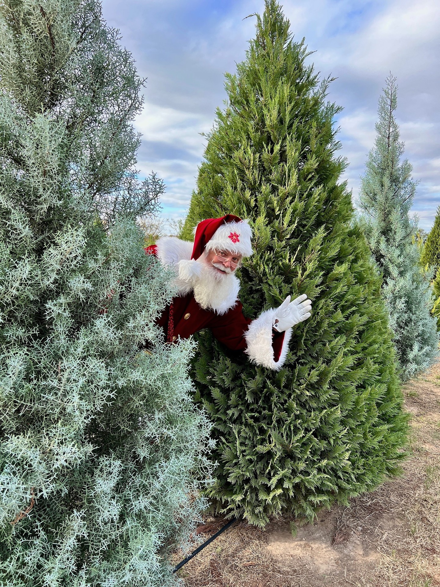A special someone🎅 popping in to remind y'all that Christmas CountryFest kicks off November 28!🎄🦌❄️
Tickets are on sale now for a limited time devineacresfarm.com/christmas-admission!
Fall CountryFest is in full swing Saturdays & Sundays thru November 2!
.
.
Get ready for San Antonio! Christmas is coming to Devine Acres Farm. We will have tons of spectacular things to enjoy on the farm. Get ready for Christmas themed desserts and drinks, real Christmas tree fields, pre-cut trees, Santa visits & photos, Texas snow, stunning photo ops, live music to enjoy, festival foods, and endless attractions!
