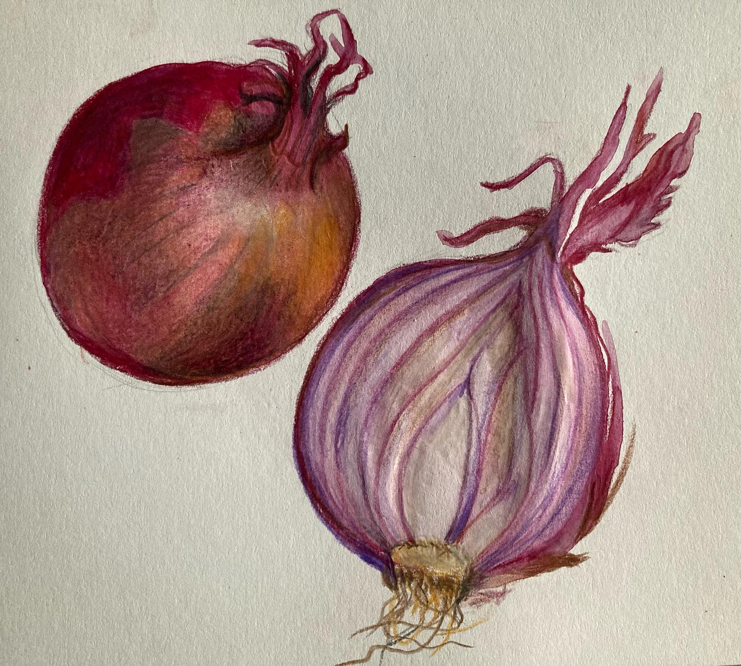 L’oignon rouge, selon la Diététique Chinoise!
Un dessin perso, ma recette préférée!
.
L’oignon, pour faire un beau jeu de mots, fait la force!
Comme beaucoup de condiments, il est de nature tiède, de saveur douce (cuit) et piquante (cru). Il tonifie l’Energie, en plus de la faire circuler. Consommé régulièrement, il accroît la force musculaire. Il mobilise le Qi, réchauffe le Poumon, dégage la poitrine, facilite la respiration et élimine les glaires. Il traite la toux et l’asthme. Il va aussi avoir une action sur la sphère digestive: il harmonise l’Estomac, traite l’inappétence, les selles molles et les douleurs abdominales de type froid.
Depuis la nuit des temps et dans de nombreuses cultures, l’oignon est considéré comme un fortifiant très efficace, mais aussi comme antiseptique et anti-infectieux.
Les recherches actuelles lui donnent comme propriété un fort pouvoir antioxydant, hypoglycémiant, il a aussi une très bonne action anticoagulante, en prévention des maladies cardio-vasculaires, du cholestérol et de l’hypertension artérielle.
Attention toutefois: il sera contre-indique cru en cas de problèmes digestifs. Il peut aussi provoquer des allergies ou un prurit cutané.
Ma recette préférée: Les pickles d’oignons rouges (ou roses). Vous retrouverez la recette sur mon blog (lien dans ma bio).
.
#oignons #oignonsrouges #oignonsderoscoff #oignon #bienfaits #bienfaitsanté #alimentsanté #alimentsquisoignent #dietetiquechinoise #madreperlamtc