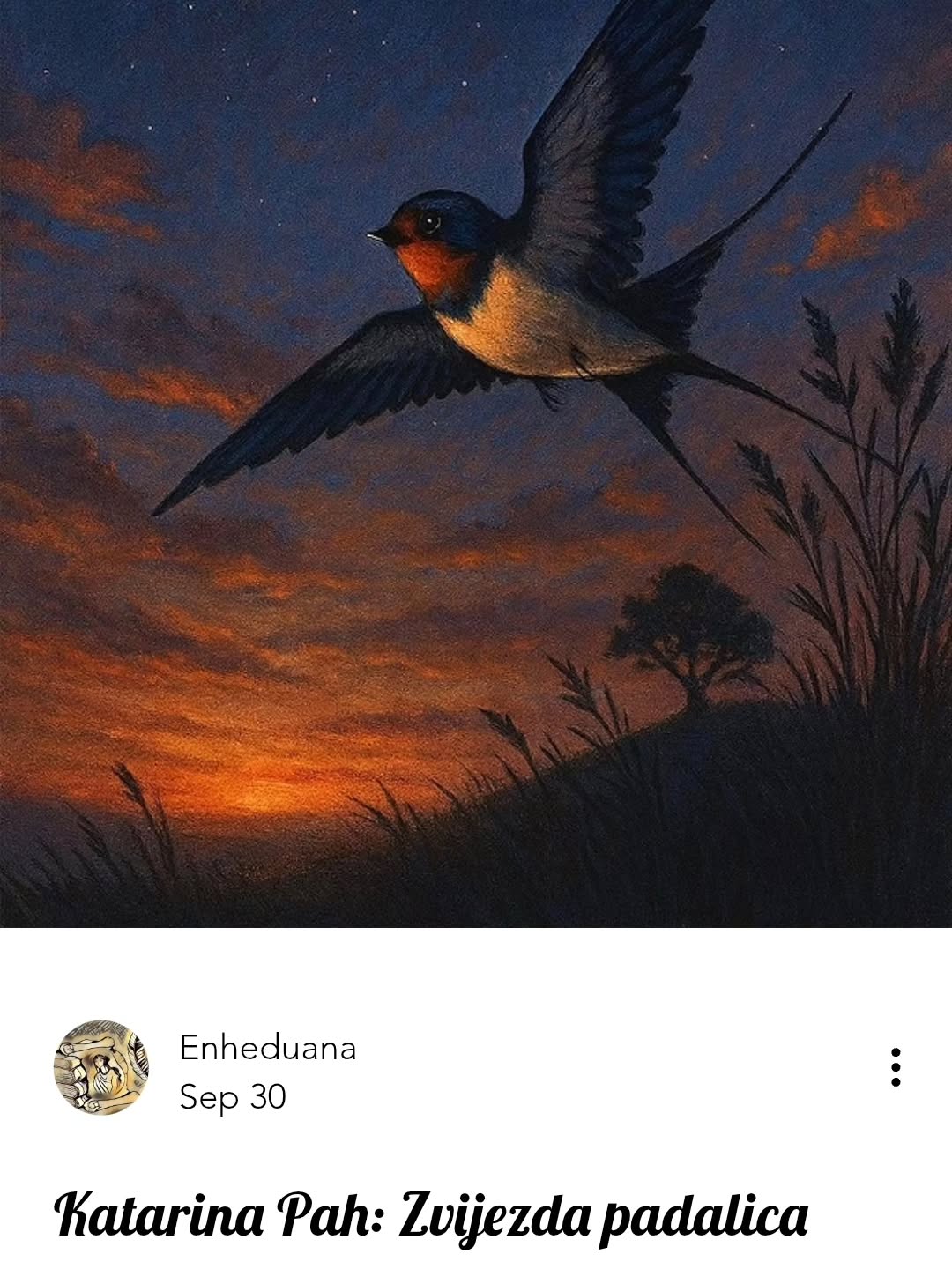 Katarina Pah: Zvijezda padalica
#časopisenheduana #katarinapah #pesma #poezija #pesma #pesnikinje