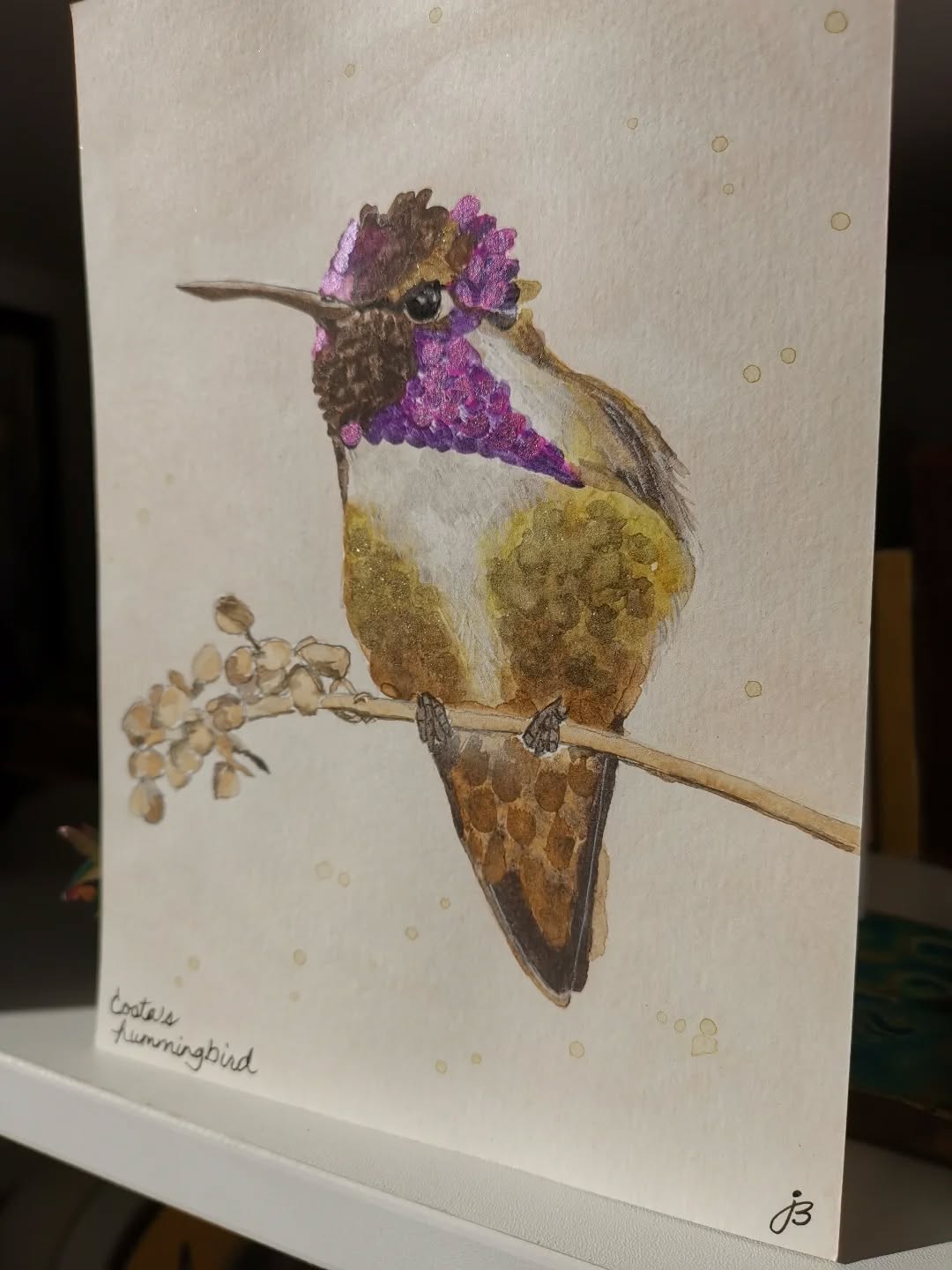 I used shimmery mica and bronze paint on this beautiful Costas hummingbird
Day 14 #Birdtober2025 #birdtober
This year I'm using watercolor, neocolors II, pencil crayons, charcoal, and gelly roll pens. Whatever floats my 🐦
I'm working on Clairefontaine watercolor paper 5.8x8.3" (A5) cold press paper.
@aholmesartstudio #ilovebirds #bird #birdartist #birdart #birddrawing #birdpainting #birdillustration #birdnerd #birbs #painting #drawing #illustration #birdchallenge #watercolorart #watercolorpainting #pencilsketch #fabercastell #clairefontainepaper