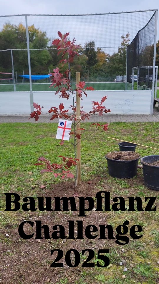 🌱 Mission Baum erfolgreich abgeschlossen! 🌳
Danke an die Pfadfinder aus @pfadfinder_wehr & @dpsg_kandern für die Nominierung – Herausforderung angenommen! 💪
Mit Spaten, guter Laune und Teamgeist haben wir gemeinsam einen Baum gepflanzt und damit ein kleines Zeichen für eine grünere Zukunft gesetzt.
Jeder Baum zählt – und gemeinsam wächst mehr als nur Wurzeln. 🌿
Wir nominieren nun
@minisdogern
@fabianprause und @kita_clemens_dogern
@stamm_merlin_willstaett
@bad.roverfels
zeigt uns, was ihr draufhabt! 🌲🔥
#Baumpflanzaktion #Baumpflanzchallenge #JederBaumZählt #Pfadfinder #Jugendarbeit
#dpsg #scouts