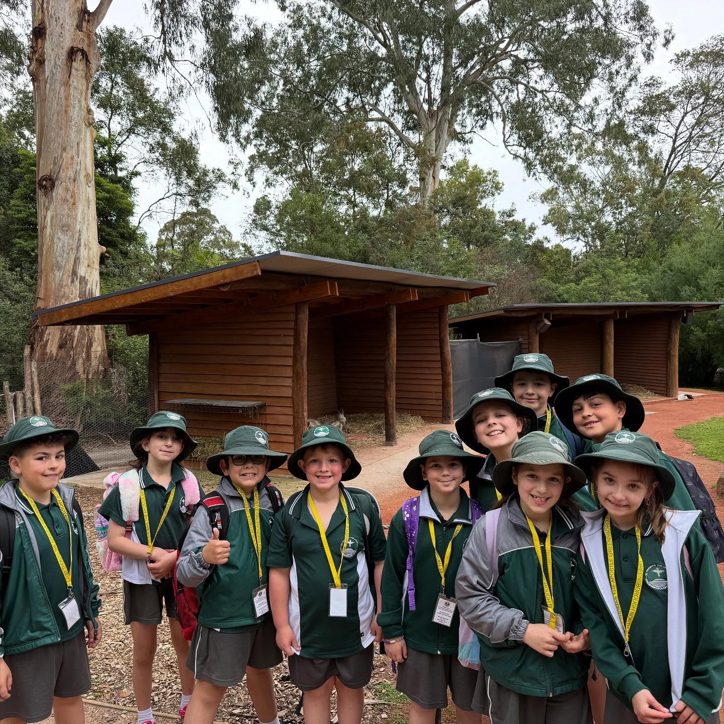 What a roar-some day at the zoo! Our Year 1/2 students had the best time exploring and learning together.
#zoo #excursion #catholiceducation #macs