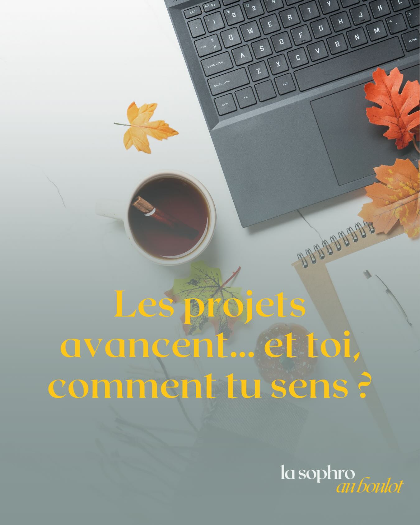 🍂 Et si octobre devenait ton mois d’équilibre ?
La rentrée est déjà loin, les projets s’enchaînent, les réunions aussi… et peut-être que tu ressens déjà le besoin de souffler un peu.
C’est normal 💛
Et si tu faisais une pause pour observer ton rythme ?
👉🏼 Qu’est-ce qui fonctionne bien dans ton quotidien pro ?
👉🏼Qu’est-ce que tu pourrais ajuster pour retrouver plus de sens, de calme ou d’énergie ?
En coaching comme en sophrologie, je vois souvent que ce sont les petits ajustements qui changent tout :
🌿 prendre 5 minutes pour respirer avant une réunion
🌿 réapprendre à prioriser
🌿 dire « non » sans culpabiliser
🌿 remettre du sens dans ce que tu fais
🍁 L’automne, c’est la saison parfaite pour ralentir un peu et te recentrer.
Et si tu profitais de ce mois d’octobre pour remettre ton bien-être au cœur de ton quotidien ?
—
🙋🏼♀️ Hello, moi c’est Constance, je suis animée par l’envie de favoriser le « mieux-être » dans les environnements professionnels.
✨ Ma mission en tant que coach et sophrologue ?
Accompagner tous les professionnels à libérer et booster leur potentiel en les aidant à se poser les bonnes questions pour qu’ils puissent se sentir mieux dans leur tête, leur corps et par conséquent dans leur travail et leur vie !
.
.
.
#coachingprofessionnel #coaching #coachpro #coach #intelligenceemotionnelle #ie #eqi #sophrologie #sophrologue #developpementpersonnel #gestiondustress #gestiondesemotions #gestiondustressenentreprise #prevention #qualitedevieautravail #qvt #bienetreautravail #lasophroauboulot