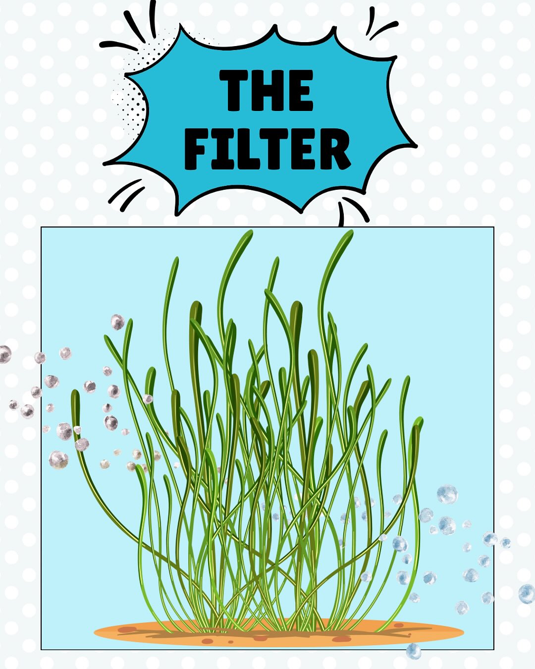 At our DeSSAV meeting this week, we asked a fun question: If SAV had a superpower, what would it be?
From “multiplying overnight” to “glowing in the dark,” the answers didn’t disappoint- but the truth is, SAV already has plenty of real-life powers!
Meet our Super SAVs:
💧 The Filter – clears the water by trapping sediment and absorbing excess nutrients.
🦀 The Provider – shelters fish, crabs, and countless small creatures.
⚓️ The Anchor – stabilizes sediment and protects shorelines from erosion.
🫧 The Oxygenator – releases oxygen that keeps aquatic life thriving.
Together, these underwater grasses quietly keep our waterways alive and resilient- true heroes beneath the surface.
We want to hear from you: if YOU could give SAV any superpower, what would it be?
#DeSSAV #DelawareSAV #UnderwaterGrasses #SAVSeekers #CoastalResilience #BlueCarbon #HabitatHeroes #CitizenScience #CommunityScience #DelawareVolunteer