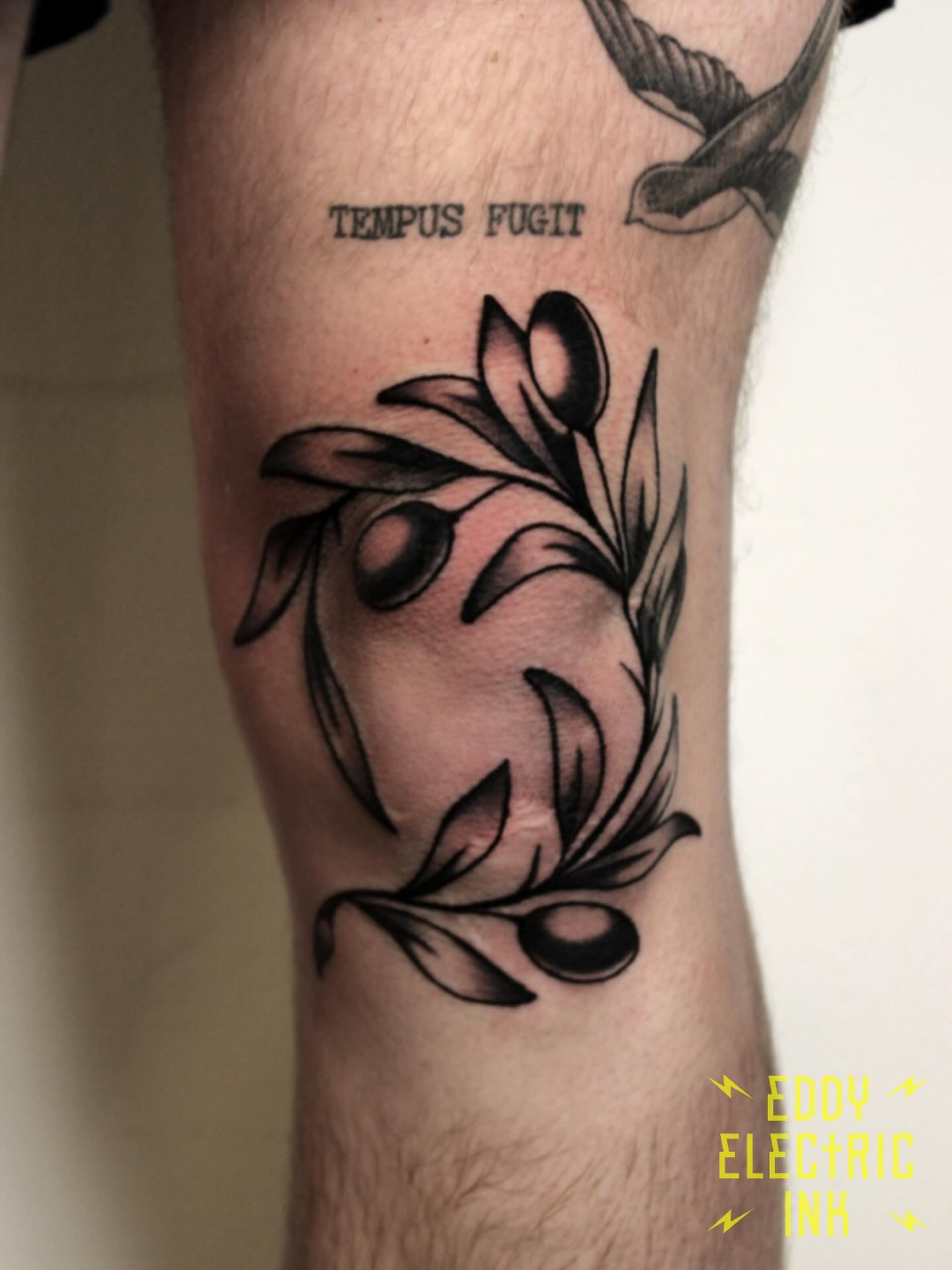 Knee banger for @finn_joosten 🌿 Thanks for enduring the torture brother 😂🤘
🏷️: #traditionaltattoo #traditionalart #traditional #traditionaltattoos #tradworkers #tradwork #tradworkerssubmission #tradtattoos #tradtattoo #oldlines #oldschool #oldschooltattoos #oldschooltattoo #lineworkerssubmission #boldwillhold #oldworker #traditionalflash #oldworkers#oldworkerstattoo #boldwillhold #tattooflash #flashtattoo #flashtattoos