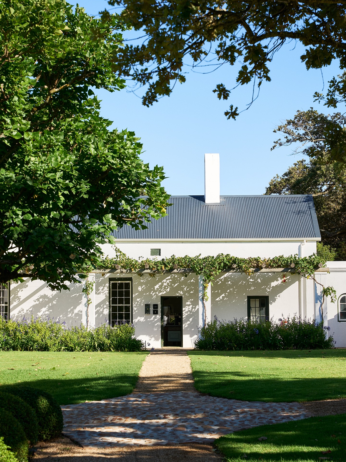 Summer Menu
We’re buzzing with excitement to unveil our brand-new Summer Menu this Friday! Stay tuned for fresh flavors and delicious surprises.
📍Our Farm Restaurant
.
.
.
#lacotte #lacottefarm
#franschhoek #franschhoeklife
#restaurant #farm #winelands