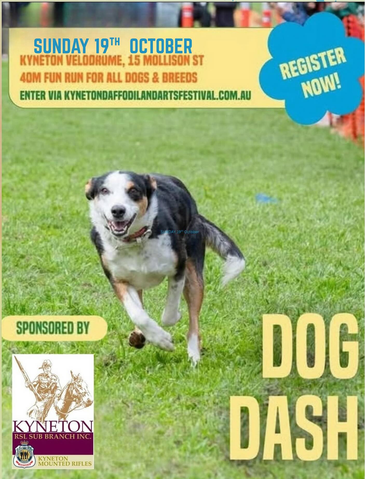 Kyneton Dog Dash this Sunday 1pm - Register now at kynetondaffodilandartsfestival.com.au or follow the link https://www.kynetondaffodilandartsfestival.com.au/event-details/dog-dash-october-2025/form or Registration opens 12pm Sunday