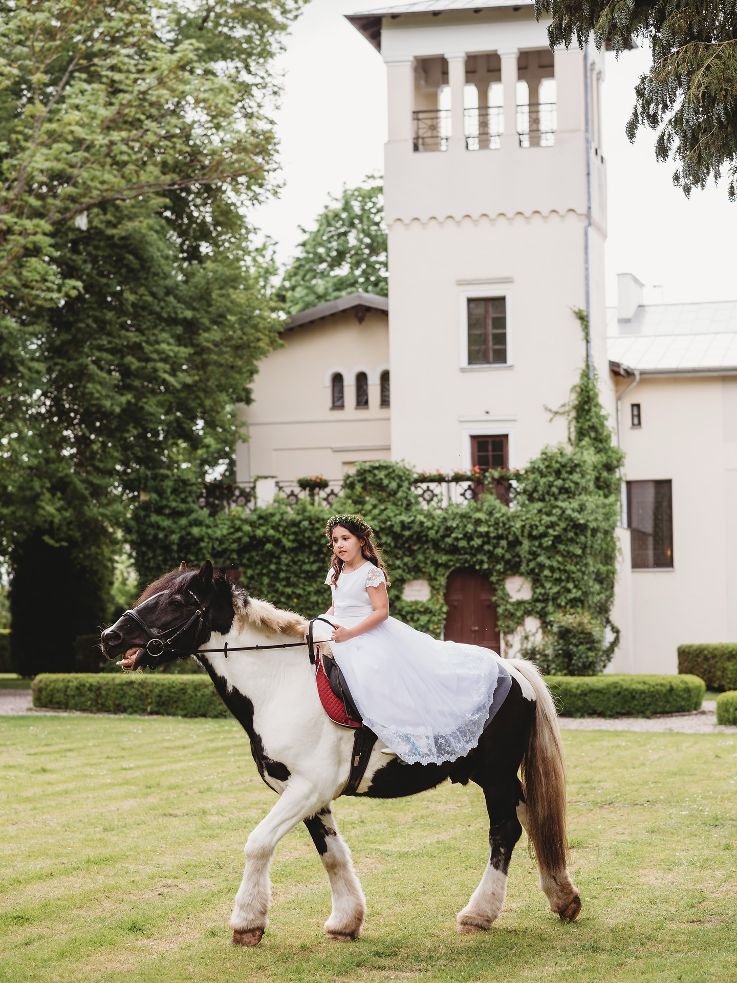 Komunijne i konno #palacklanino