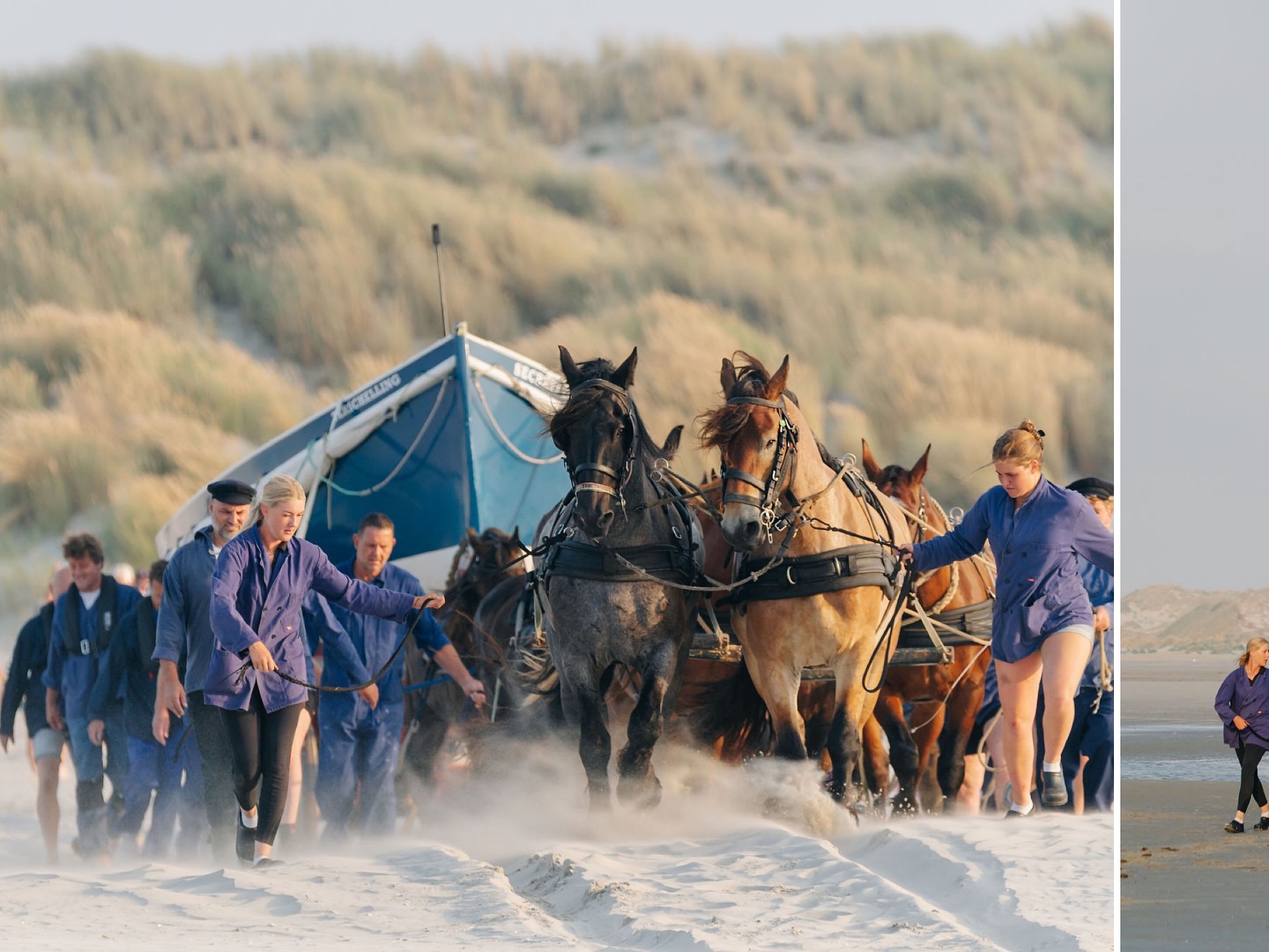 In dezelfde week dat ik deze zomer de redders op zee mocht vastleggen van de @knrm_terschelling fotografeerde ik een demonstratie van de @museumreddingbootterschelling. Een folkloristische spektakel rond het roemruchte verleden van de Nederlandse reddingmaatschappij op Terschelling. Net als in vroegere tijden trekken tien stoere paarden de reddingsloep door de duinen, over het strand naar zee.
#paardenreddingboot #terschelling #knrm #daniellebosschaartphotography