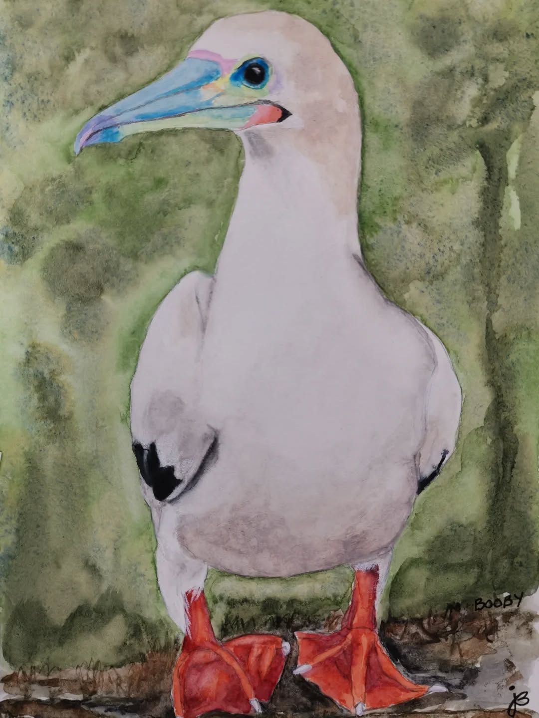 Red-footed booby
Day 19 #Birdtober2025 #birdtober
This year I'm using watercolor, neocolors II, pastel and pencil crayons, charcoal, and gelly roll pens. Whatever floats my 🐦
I'm working on Clairefontaine watercolor paper 5.8x8.3" (A5) cold press paper.
@aholmesartstudio #ilovebirds #bird #birdartist #birdart #birddrawing #birdpainting #birdillustration #birdnerd #birbs #painting #drawing #illustration #birdchallenge #watercolorart #watercolorpainting #pencilsketch #fabercastell #clairefontainepaper