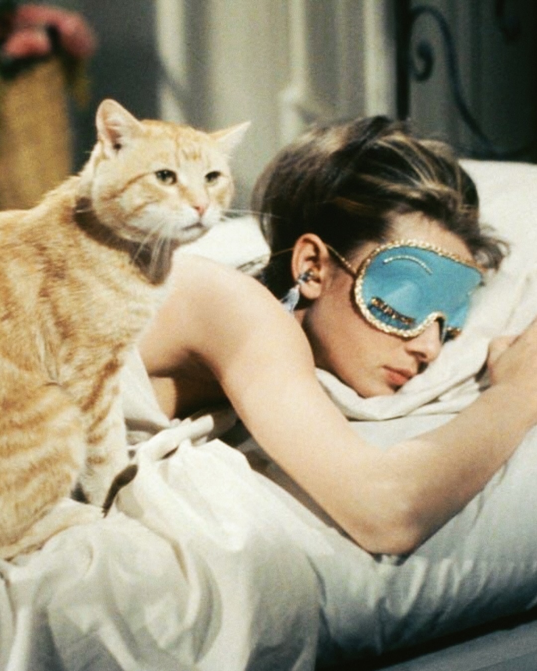 Happy National Cat Day to all who celebrate. Shoutout to cats for being the ultimate pop culture companion to all the baddies who raised us.
#fashionblog #girlblog #instastyle #90s #80s #y2k #vintagestyle #shewearsthepants #girlyblog #y2kstyle #popcultureblog #popcultureart #girlblog #styleblog #popcultureblog #nationalcatday