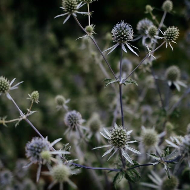 Wahnsinn wie spannend diese Reise aktuell ist. Die Reise zu neuen Formen und Farben. Die Reise zum Branding für Vicky Hellmann! Ich freue mich wirklich so sehr, wenn ich euch bald das Gesamtkonzept zeigen kann 😍