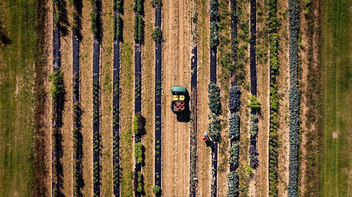 A couple photos from a recent shoot at Highmoor Farms for the University of Maine!
#umaine #sonyalpha #djimavic3pro #maineisgorgeous #maineigers #uppagram #universityphotographer