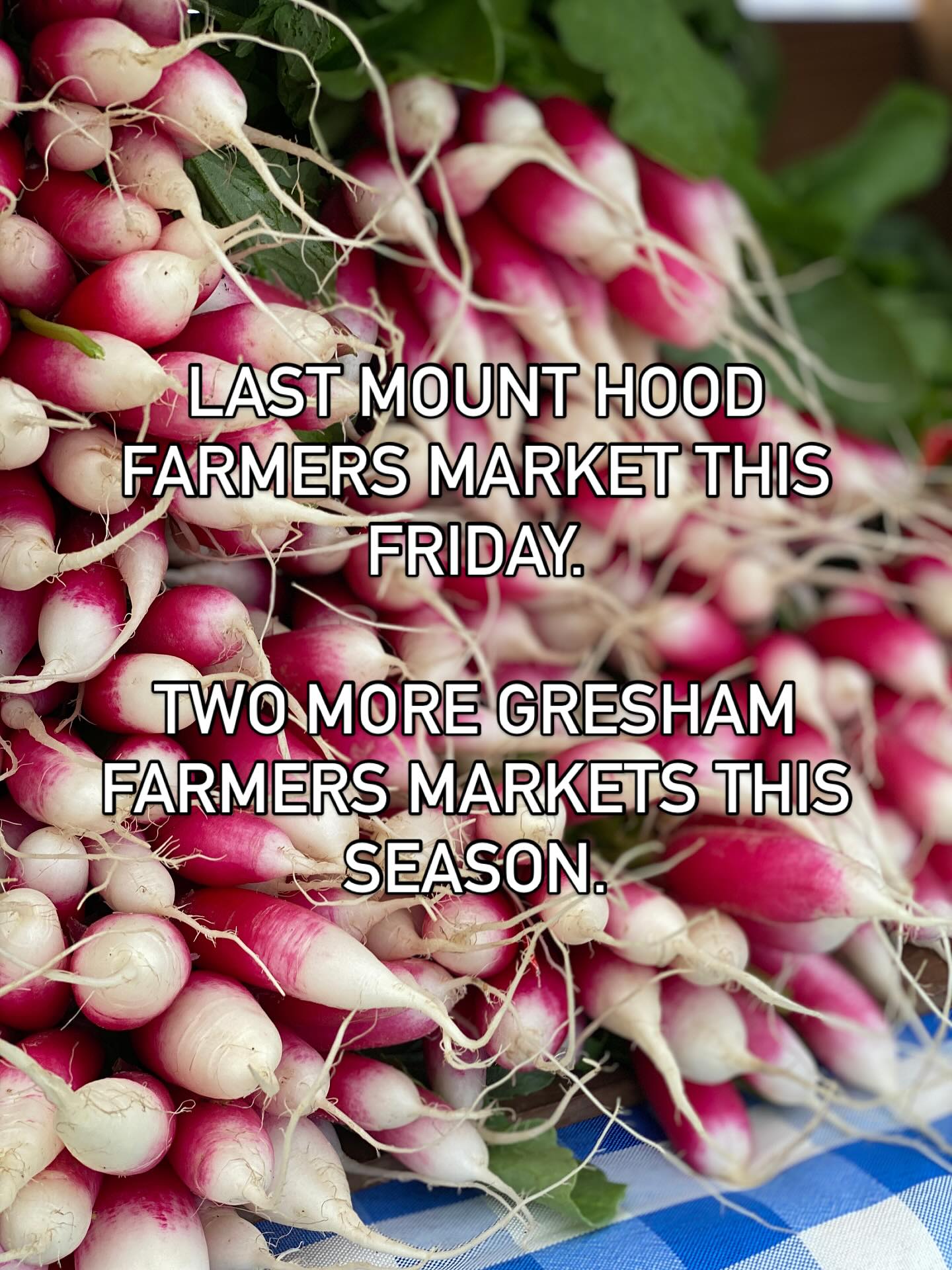 Last chances for veggies from us at the farmers markets in the next two weeks.