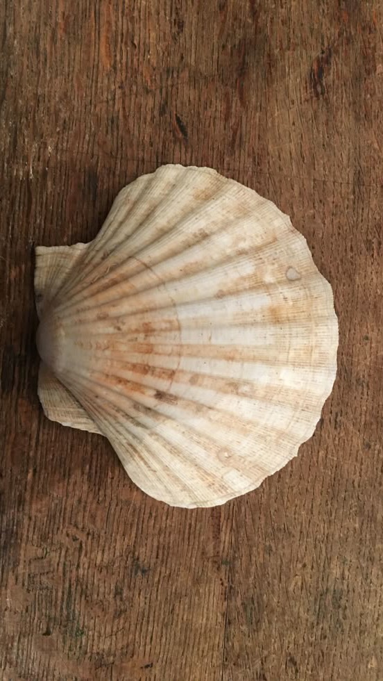 So excited about tomorrow! Are you? 👇🏻
#newdrop #brandgioielli #jewelryinspo #jewelrygram #handmadejewelry #falljewelry #winterjewelry