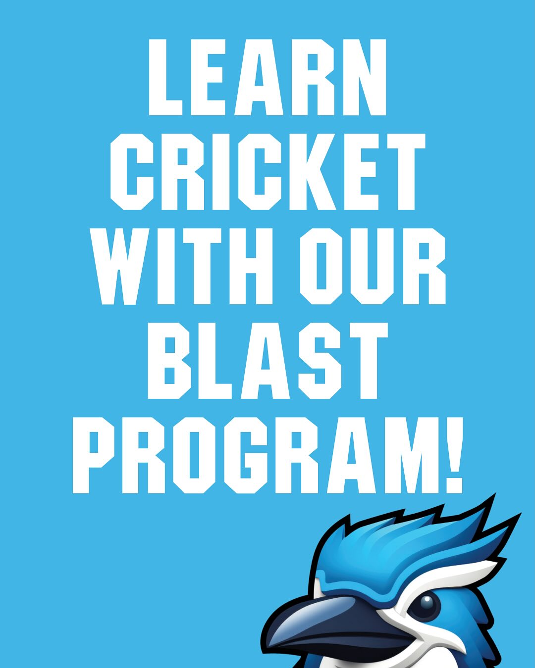 π₯π₯ START CRICKET WITH LMJCC & OUR CRICKET BLAST PROGRAM! AGES 5-9 FOR GIRLS & BOYS OF ALL ABILITIES! π₯π₯
Become a Kookaburra with our awesome Cricket Blast program! A fun filled cricket program designed for kids to learn the basics through engaging activities & modified games.
For parents:
ποΈ Starting late October through to mid December. Picks up again in early February with a mid March finish. Can still go away for the school holidays!
π° Only $99 with a Cricket Blast participant pack included!
β° 8.30am on a Sunday for 65-80 minutes. Still plenty of time to enjoy your Sunday!
π Hartfield Reserve
π No experience or equipment needed! Just turn up with a smile as we look after the rest!
π Be part of a junior club with strong values, excellent retention and an amazing volunteer base! Itβs all about a great experience for the kids!
At LMJCC we want all our players & parents to embrace our Kookaburra values of:
- Fun
- Mateship
- Inclusion
To register - click here: https://www.playhq.com/cricket-australia/register/6e2a8d
For more information and to ask a question or two please email Mark at president.lmjcc@hotmail.com