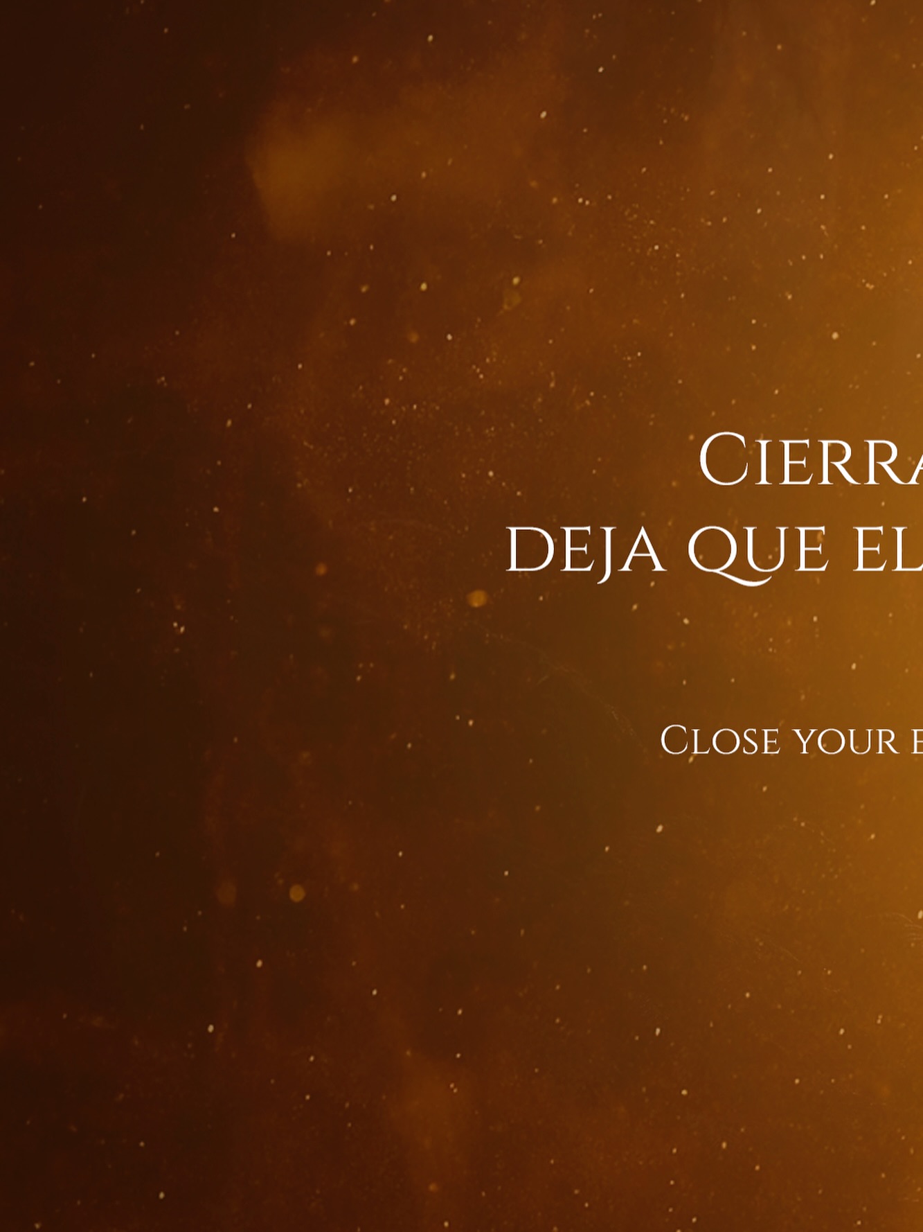 Un nuevo integrante llega a la familia.