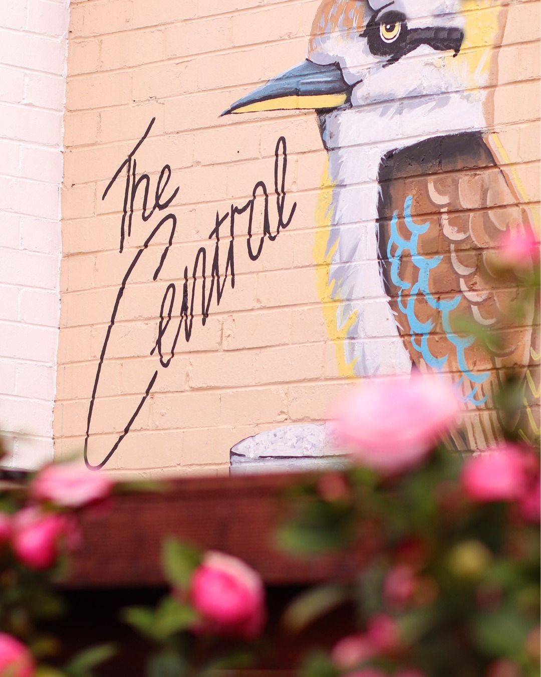 Our unofficial security guard – no entry without a decent pint. 🍺