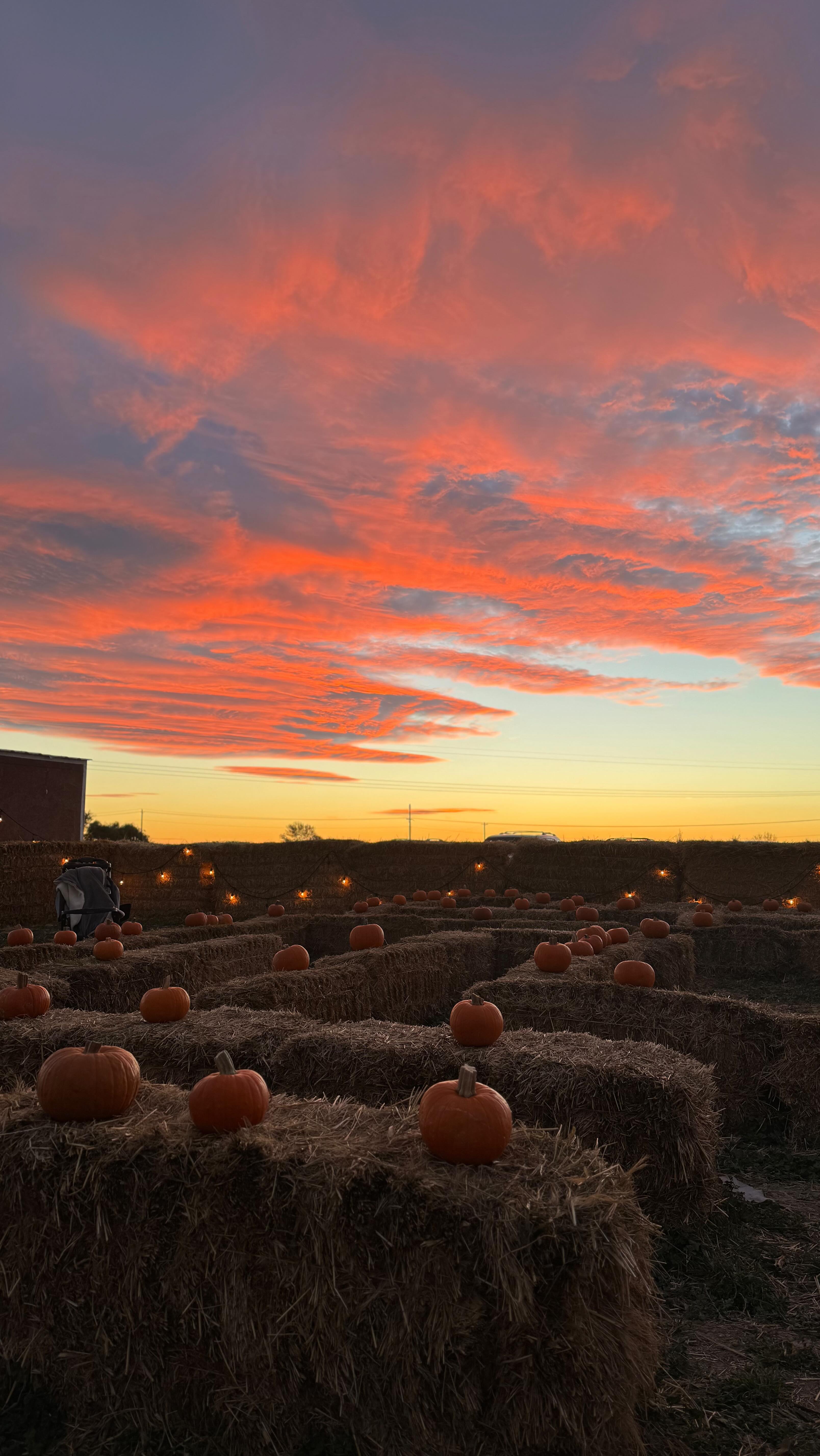 Weekend plans = found ๐๐ฝ
Head out to Ten Mile Farms for all the fall fun โ get lost in the corn maze, pick the perfect pumpkin, race down our slides, hop on a hay wagon or barrel train ride, and grab a bite from the food trucks! ๐
PLUS โ donโt miss Corbin Maxeyโs โReptiles in the Cornfieldโ show ๐ from 4โ6pm โ an interactive animal adventure you wonโt forget!
๐ Come make some memories at Ten Mile Farms this weekend!
#hellomeridian #cornmaze #meridianidaho #pumpkinpatch #tenmilefarms #familyfun #idaho #funatthefarm
